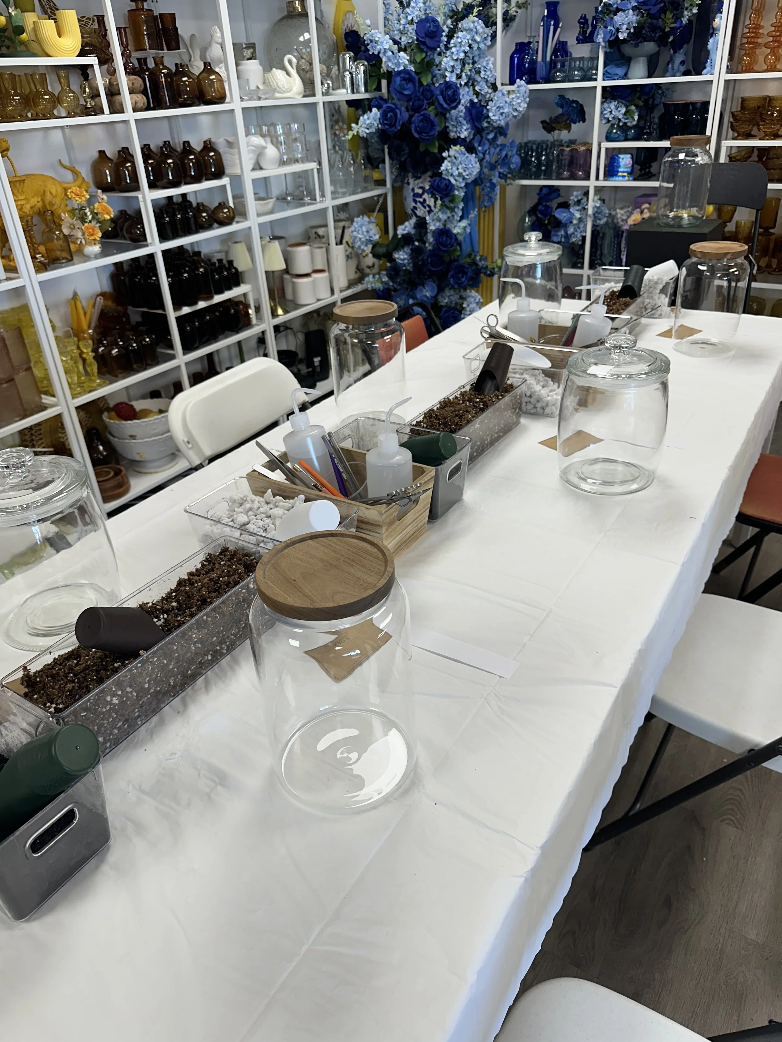 Table set up with various jars, containers, and tools for a terrarium or plant arrangement activity, with shelves of decorative items and blue floral arrangements in the background.