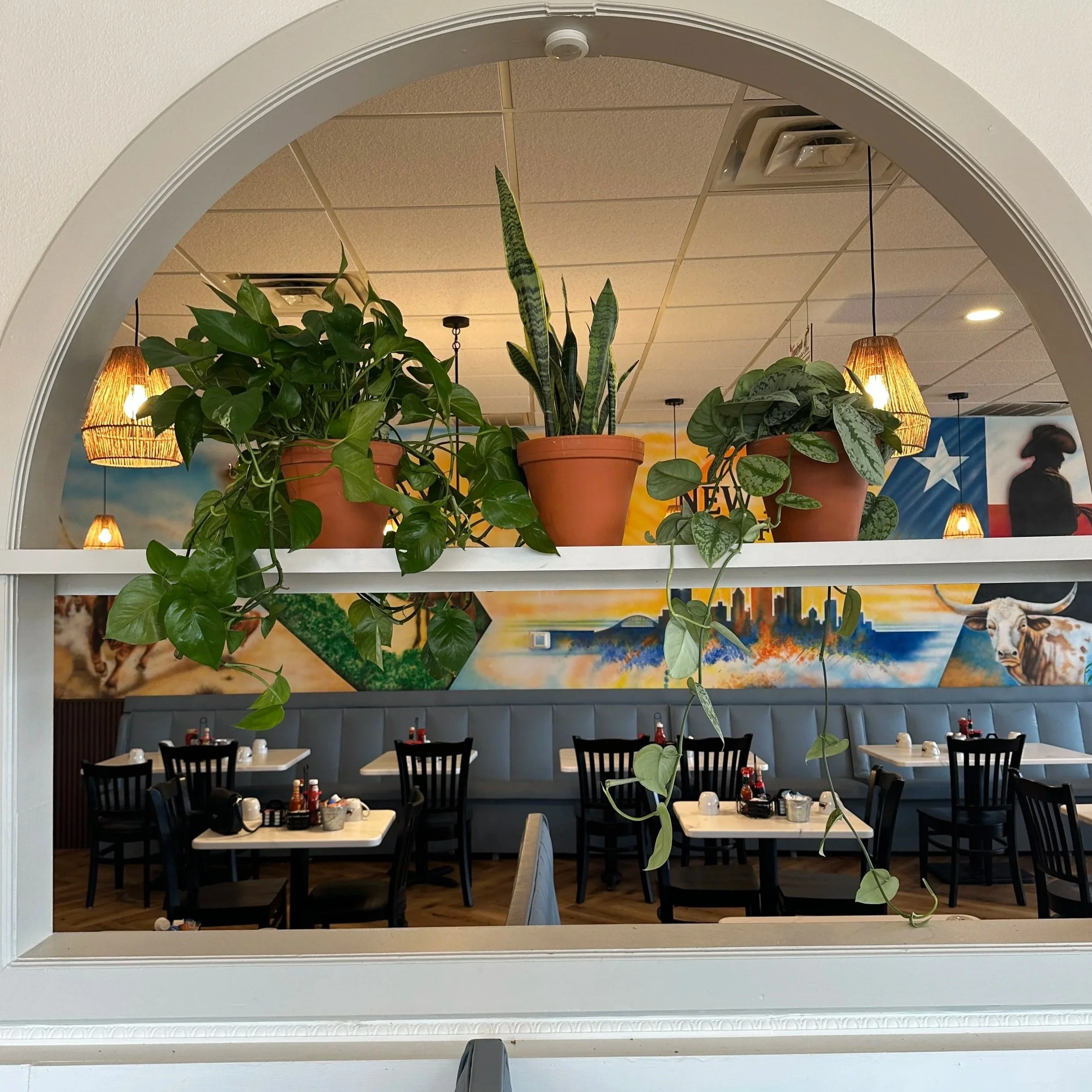 Interior plant design by Lauren and Plants in a Fort Worth restaurant featuring curated potted greenery integrated into an elevated dining space.