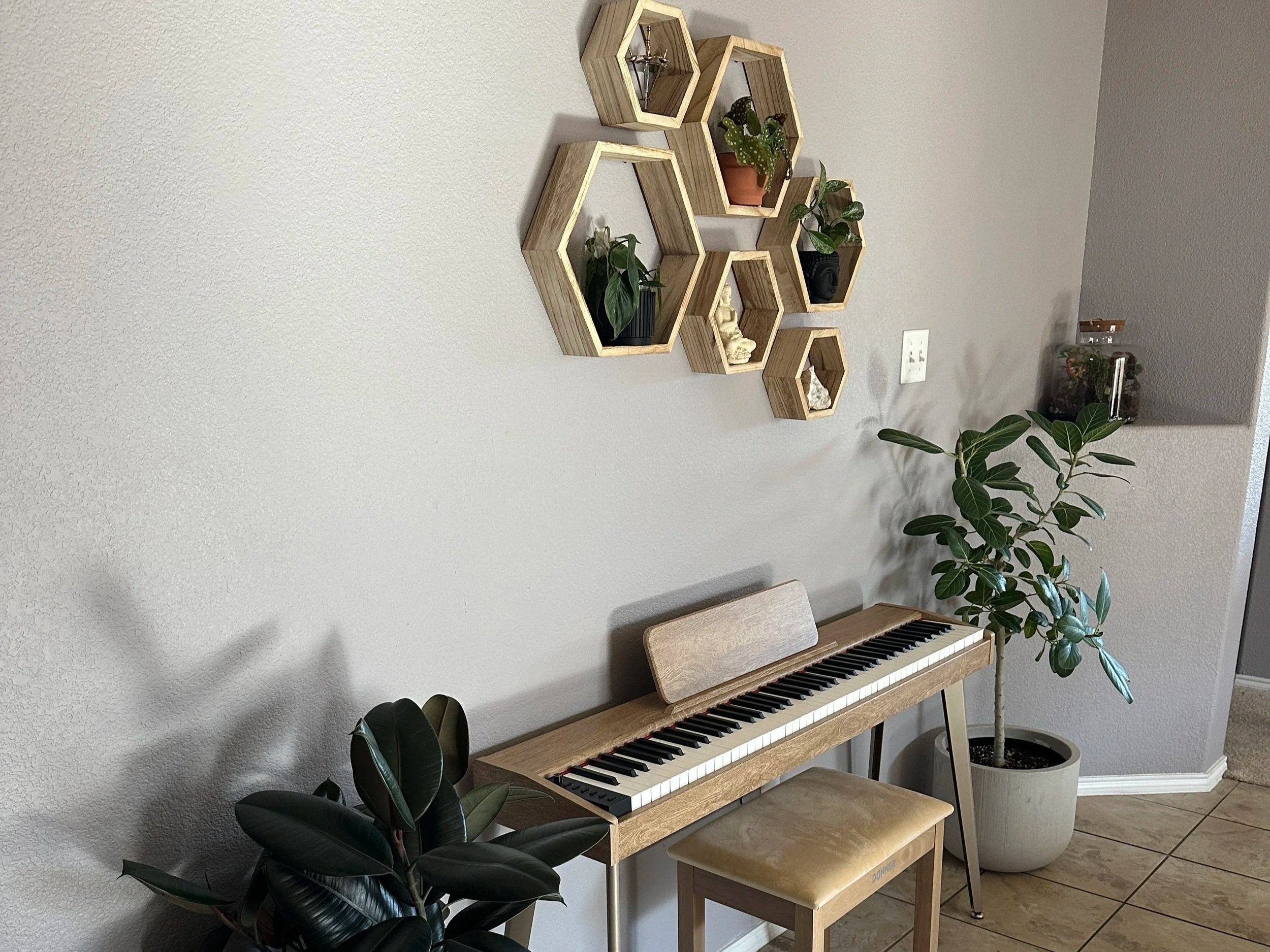 Indoor plant staging around a piano featuring floor plants and wall-mounted greenery styled as part of home décor