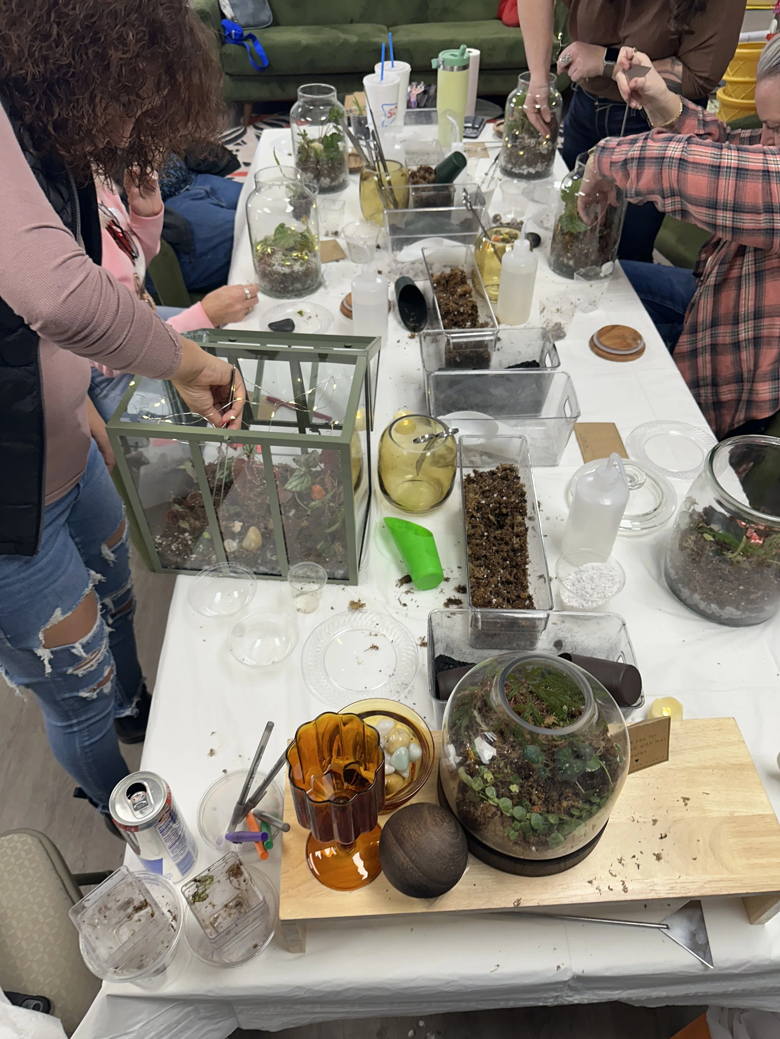 Private terrarium workshop in DFW showing people creating terrariums together with plants and tools.