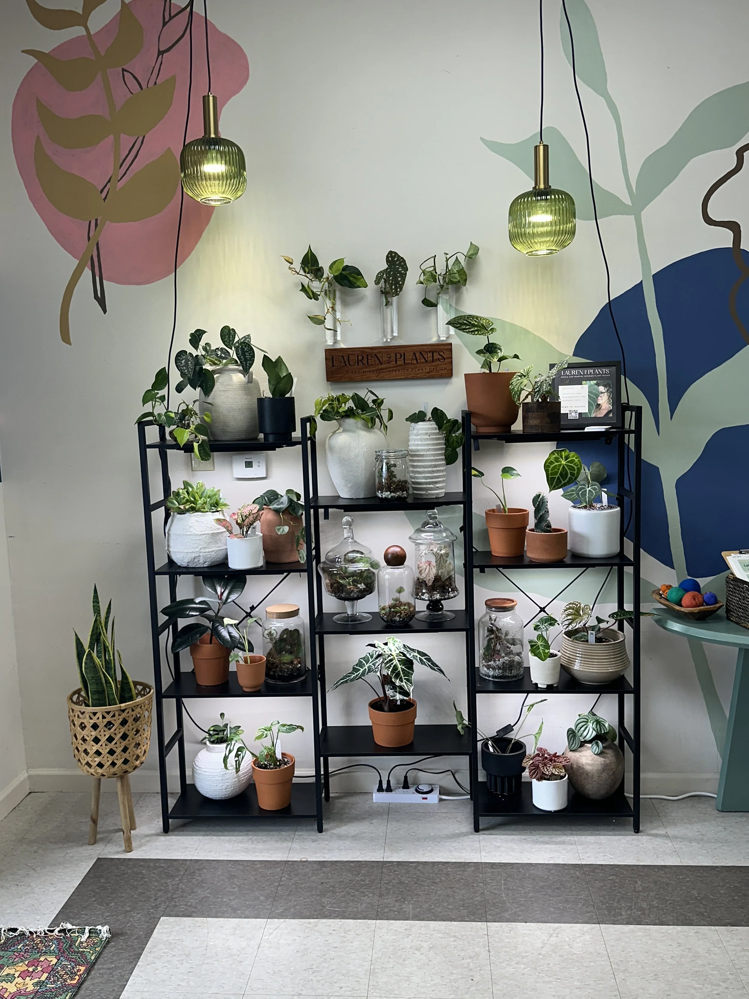 Curated indoor plant display at Green Thistle in Fort Worth featuring intentional plant styling and healthy houseplants