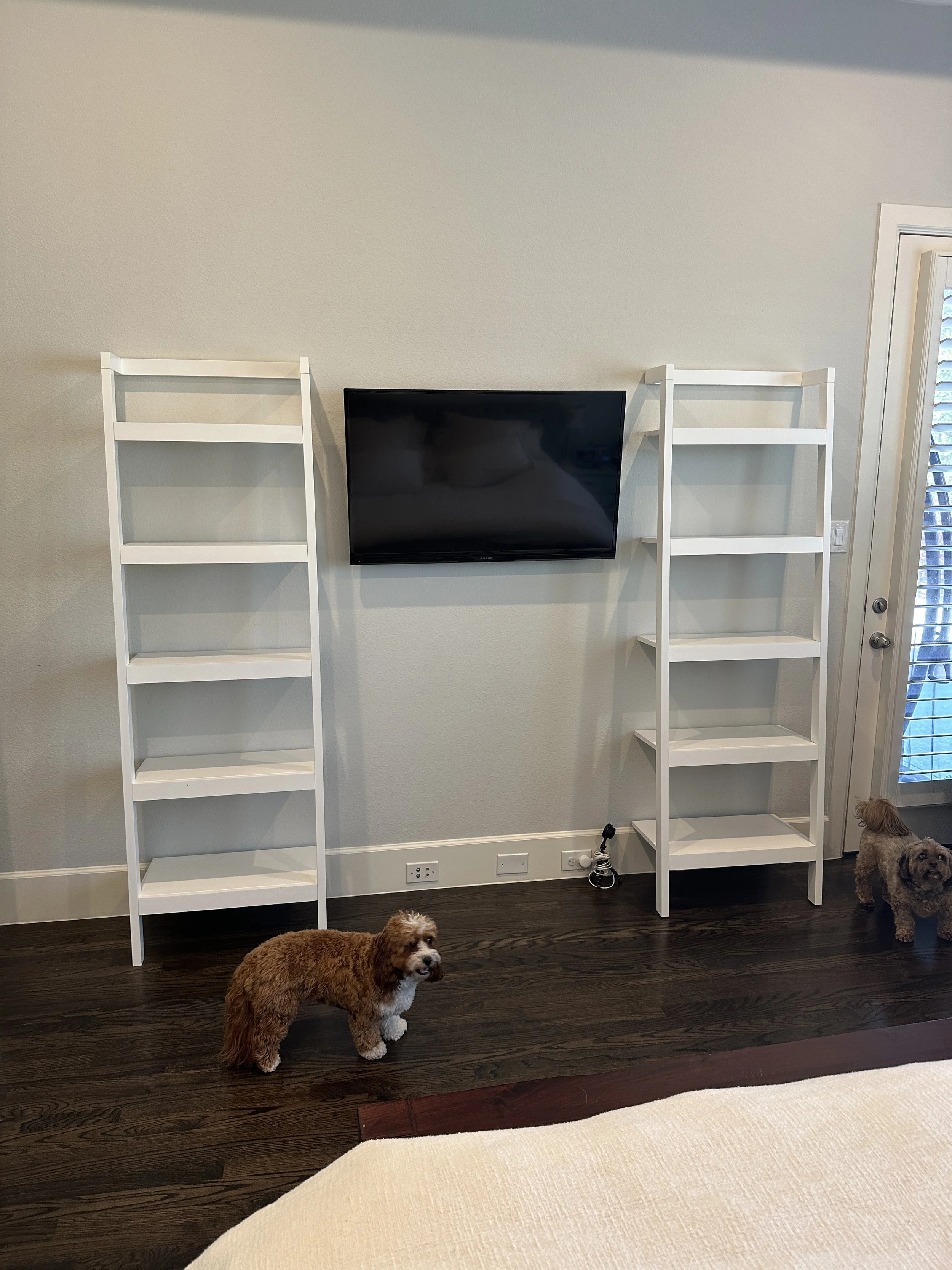 Empty white shelving and wall space before interior plant styling in Fort Worth home