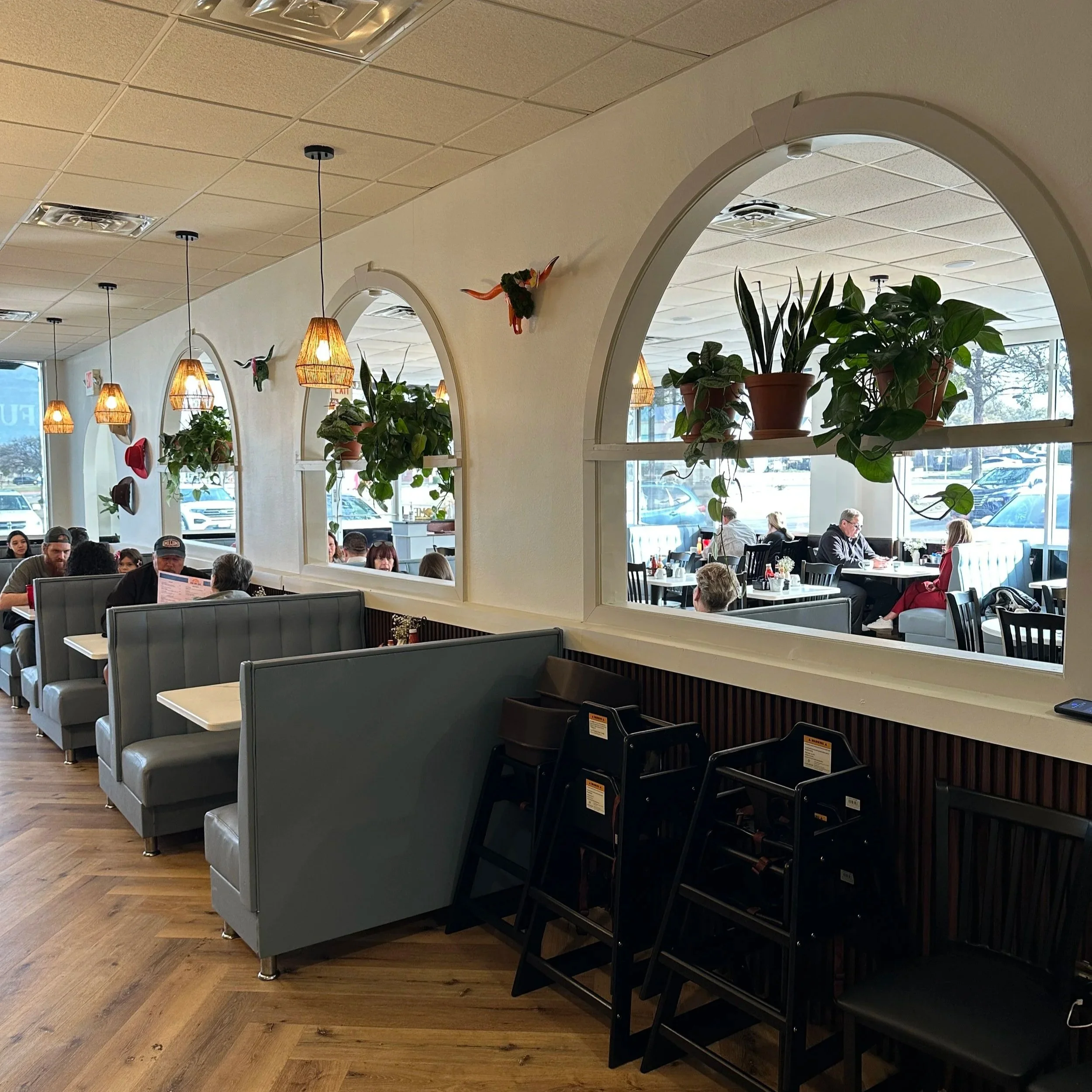 Interior plant design installation in a Fort Worth restaurant
