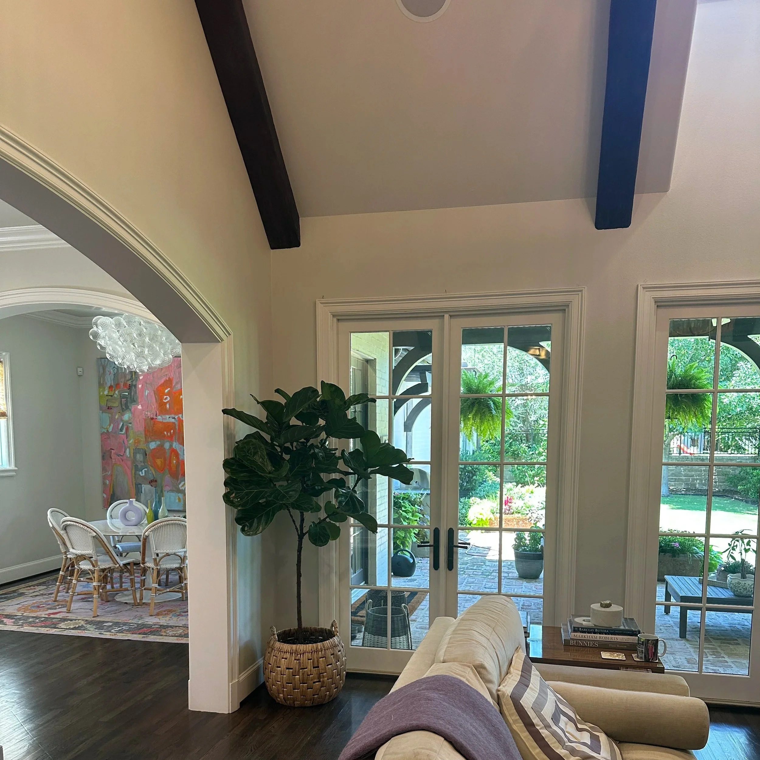 Fiddle leaf fig tree styled in a bright Fort Worth living room as part of an indoor plant design project.