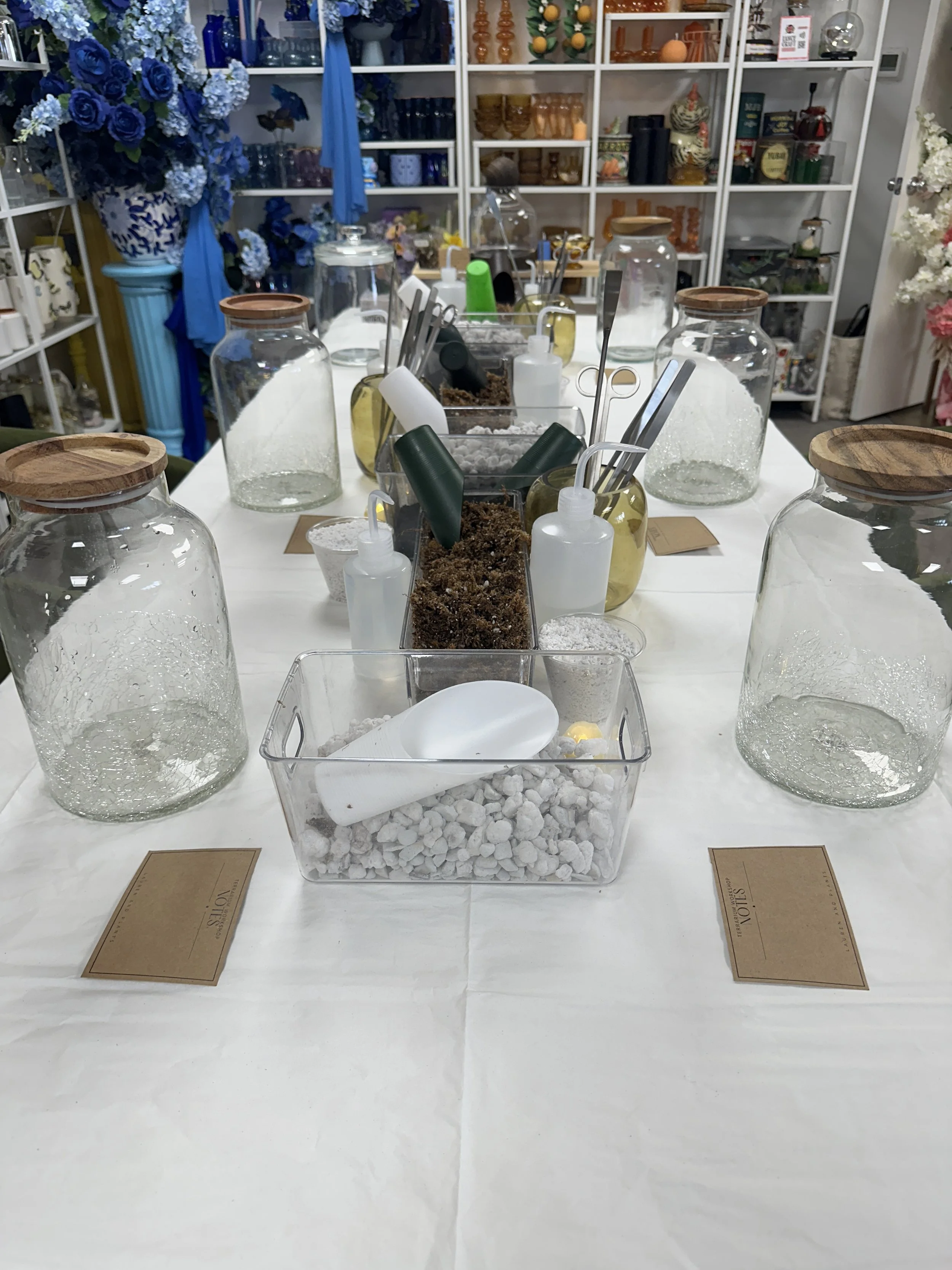 Terrarium workshop setup with plants, tools, and materials laid out for participants — Lauren and Plants private event