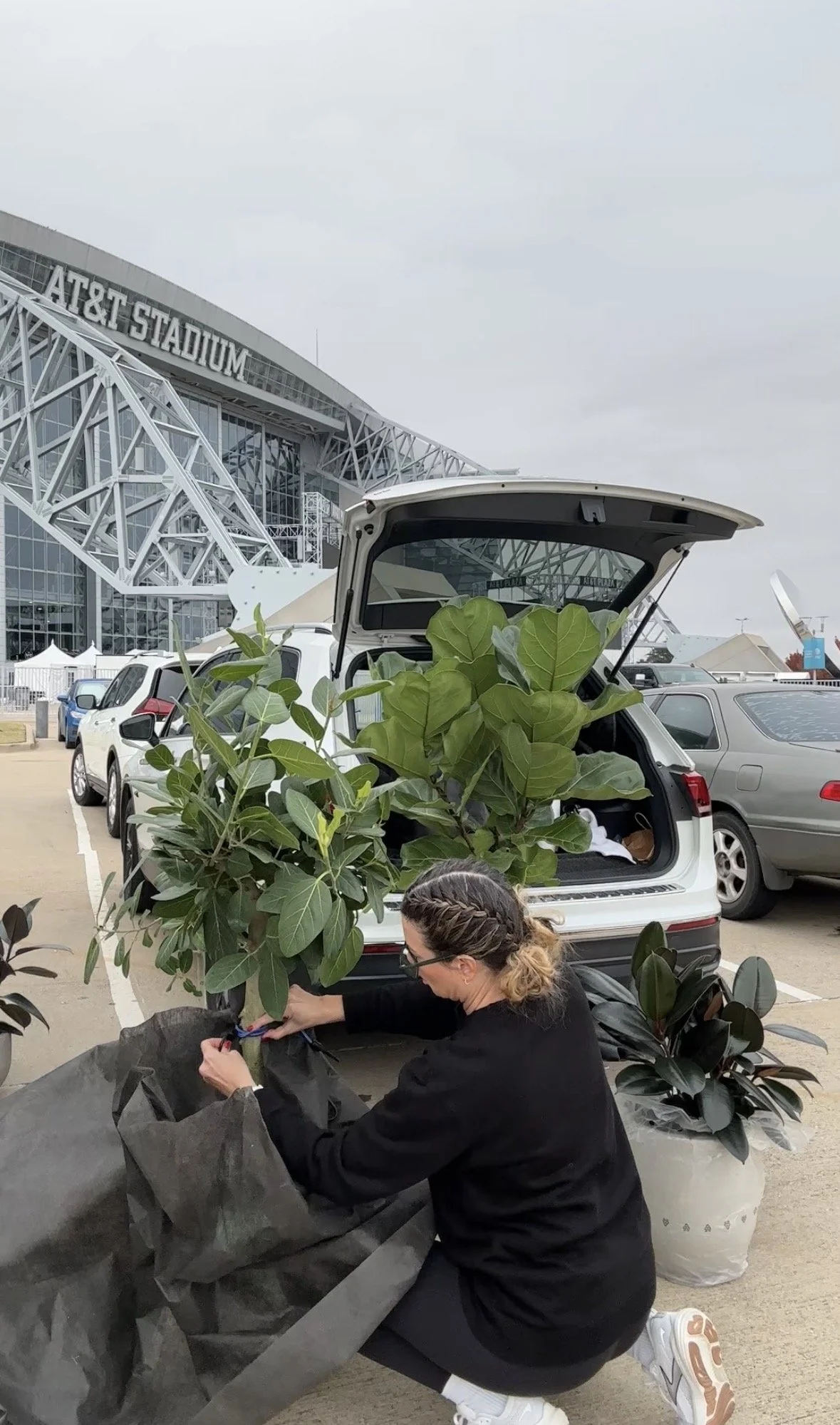 Plant staging setup in progress with greenery being unloaded and prepared for an event installation