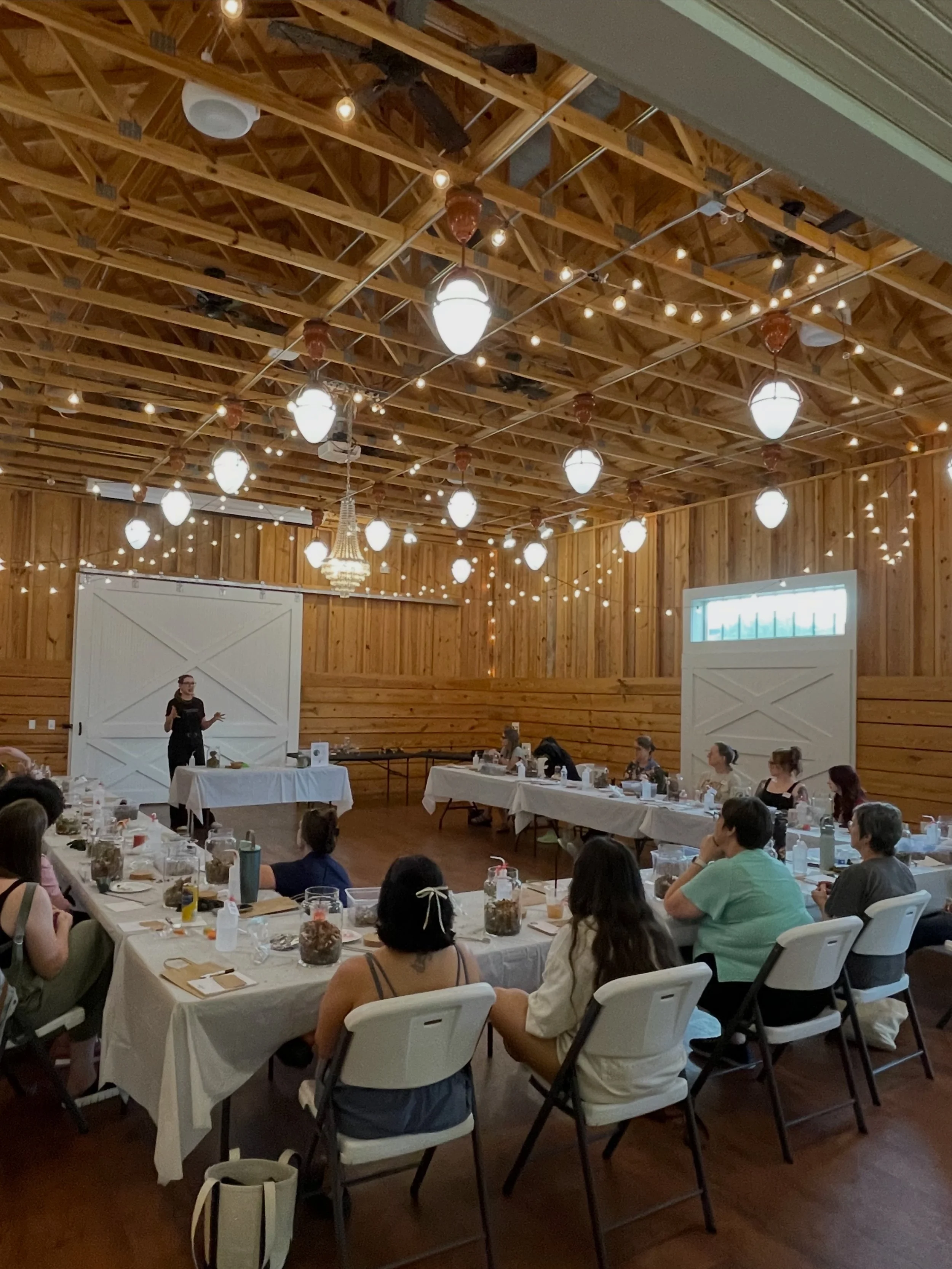 Attendees participate in a terrarium workshop led by Lauren and Plants at a community event hosted by Play Frisco.