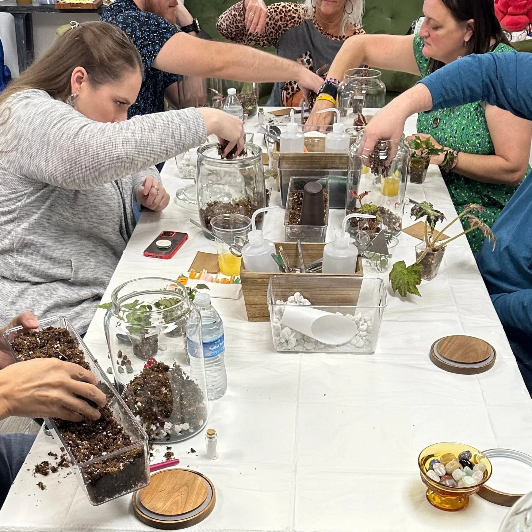 Terrarium workshop with Lauren and Plants in DFW