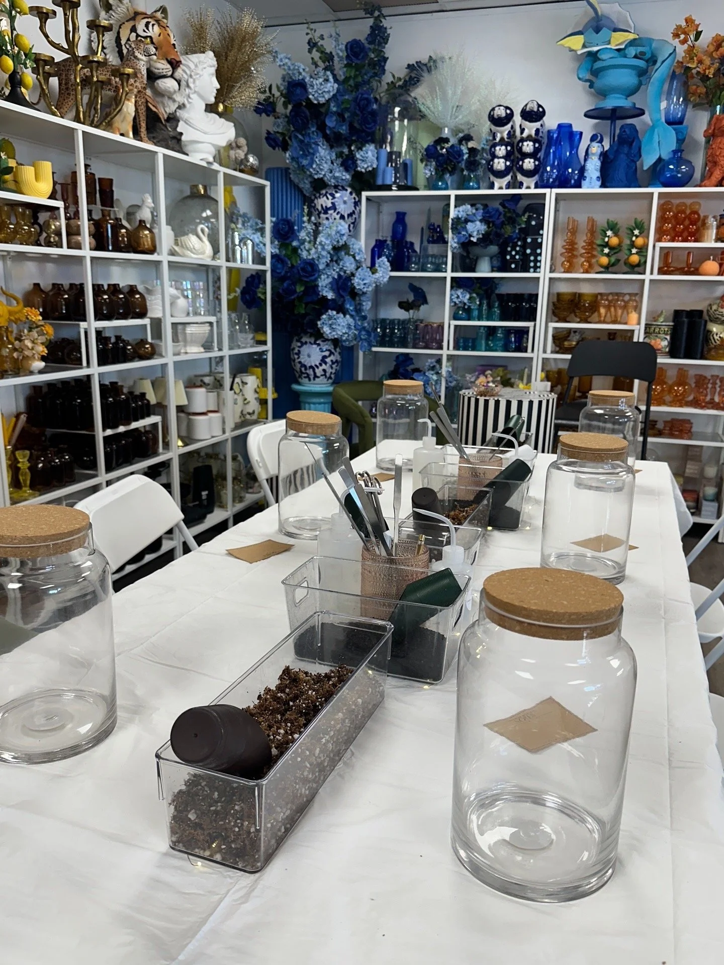 Terrarium workshop setup in Fort Worth with glass vessels, tools, and curated materials by Lauren and Plants