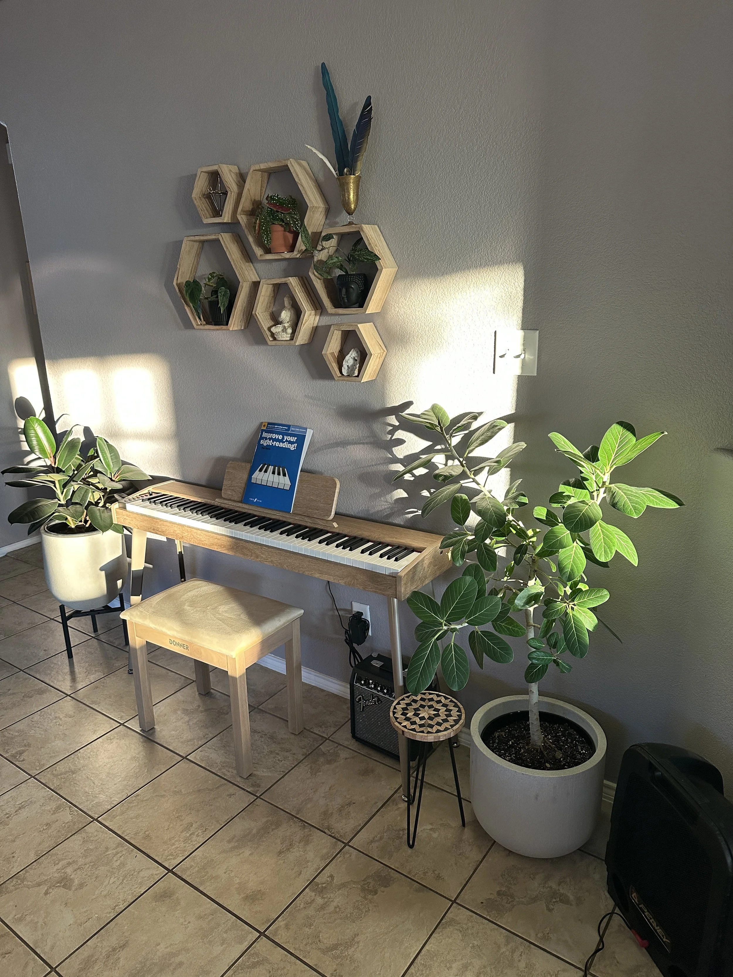 Thoughtful interior plant styling integrated into a creative living space in Fort Worth.