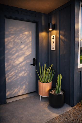 Styled front entry featuring container plants selected for a commercial plant design project in Fort Worth.