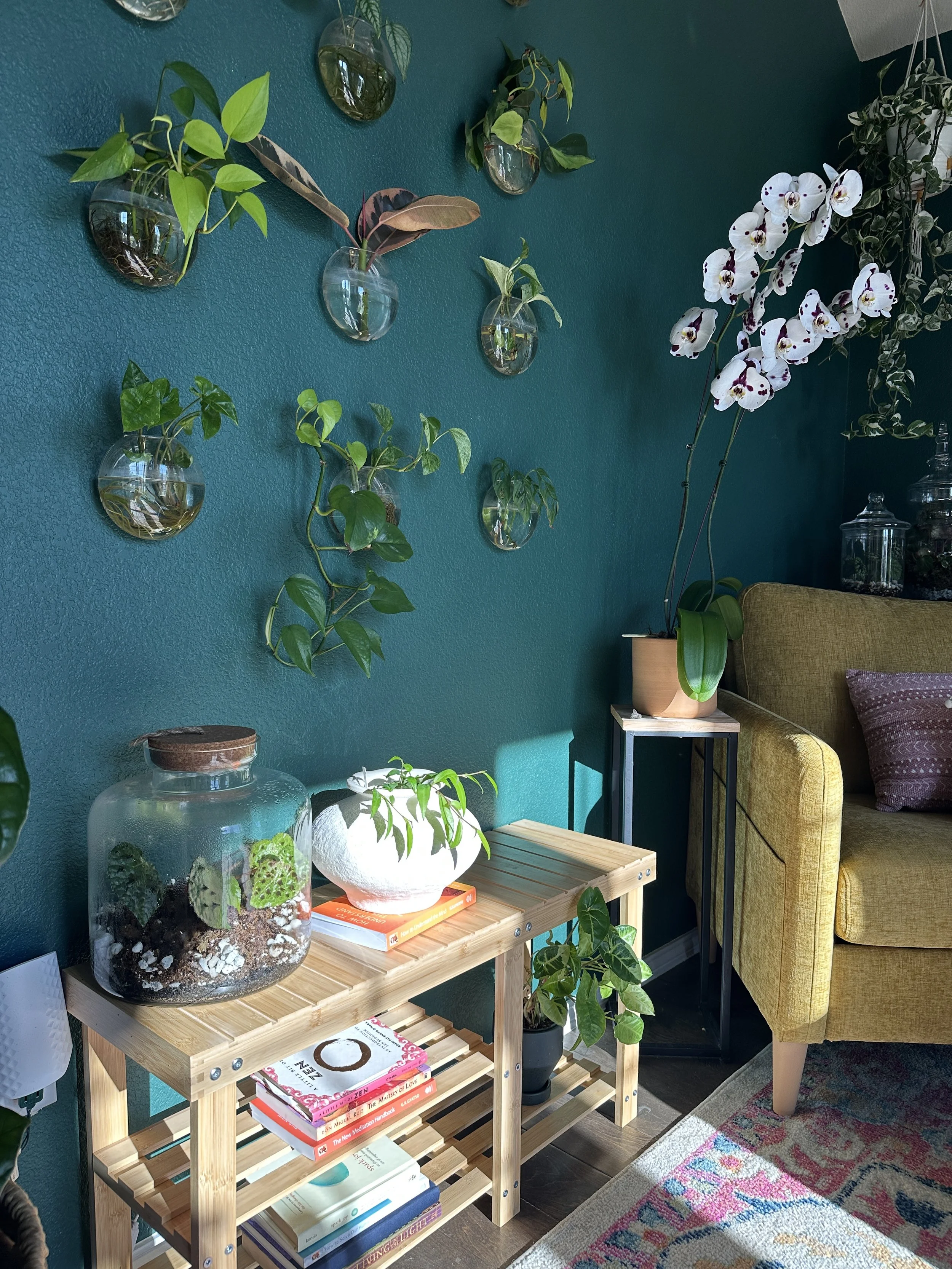 Thoughtfully styled indoor plant display featuring houseplants, decor, and a terrarium.