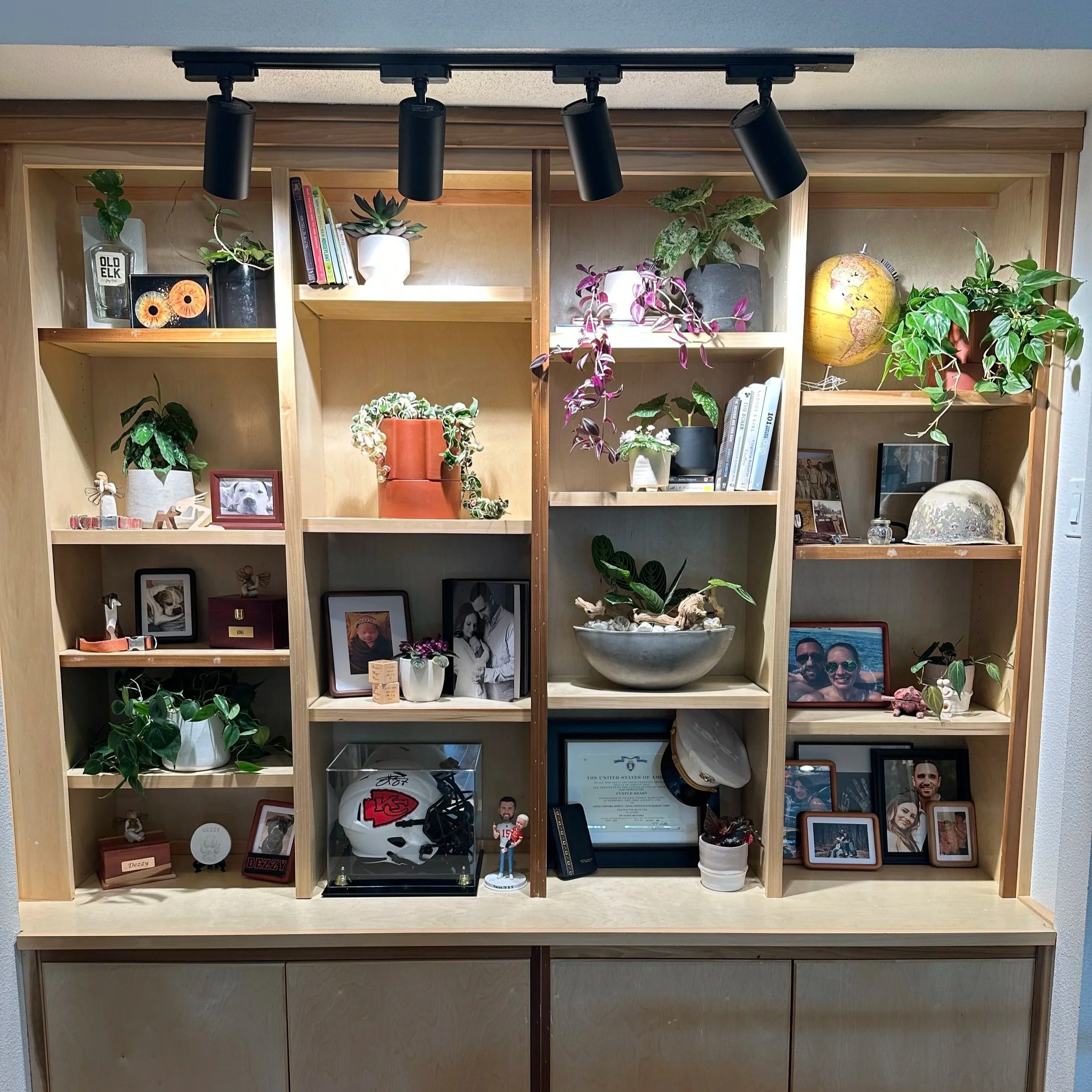 Built in bookshelf styled with houseplants, framed photos, and decorative objects in a Fort Worth home