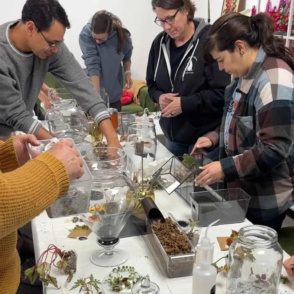 Participant building a glass terrarium with begonias, moss, and layered substrate during a guided terrarium workshop in DFW.