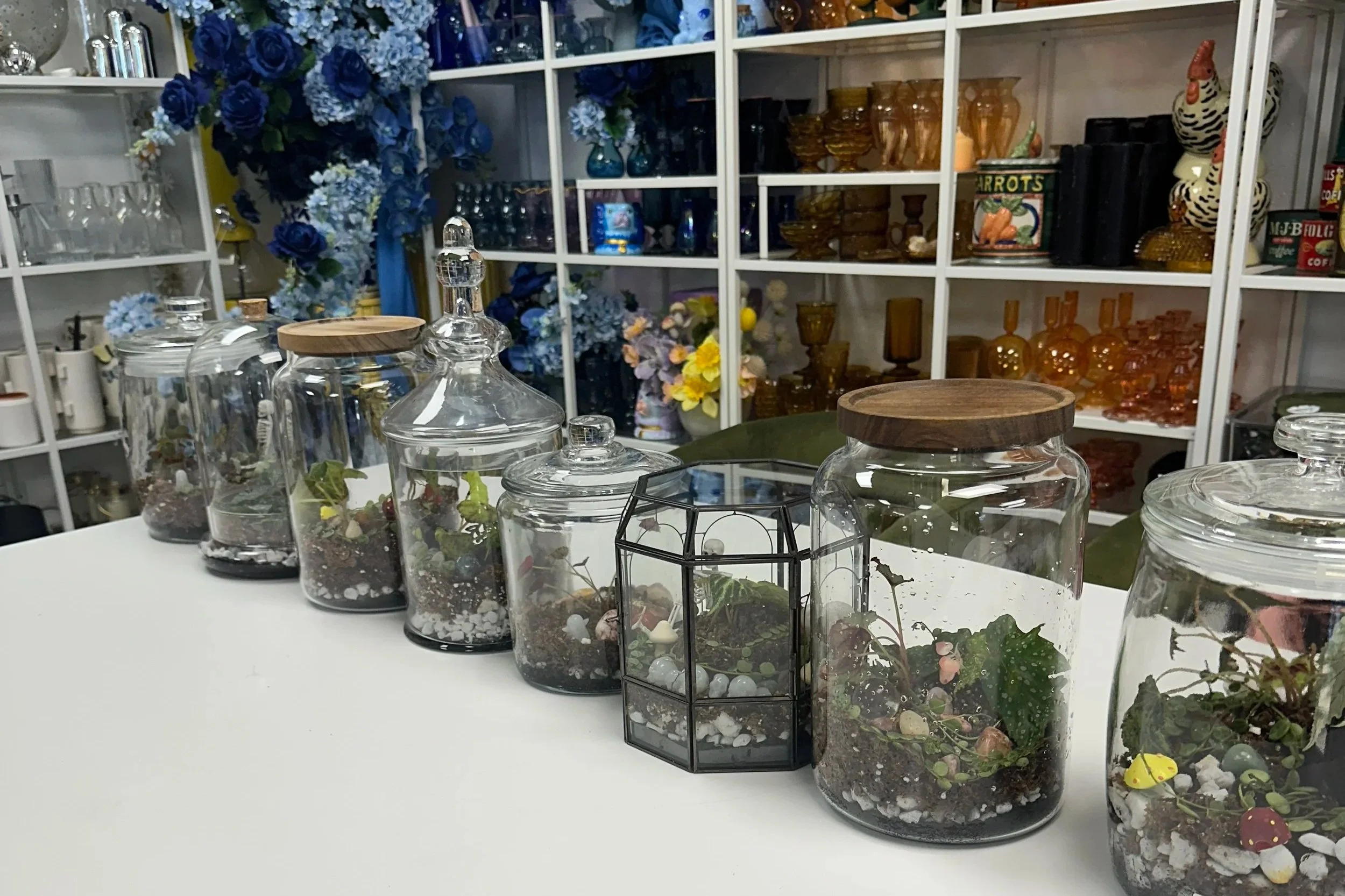Private terrarium workshop setup with completed glass terrariums at The Floral Eclectic Studio in DFW.