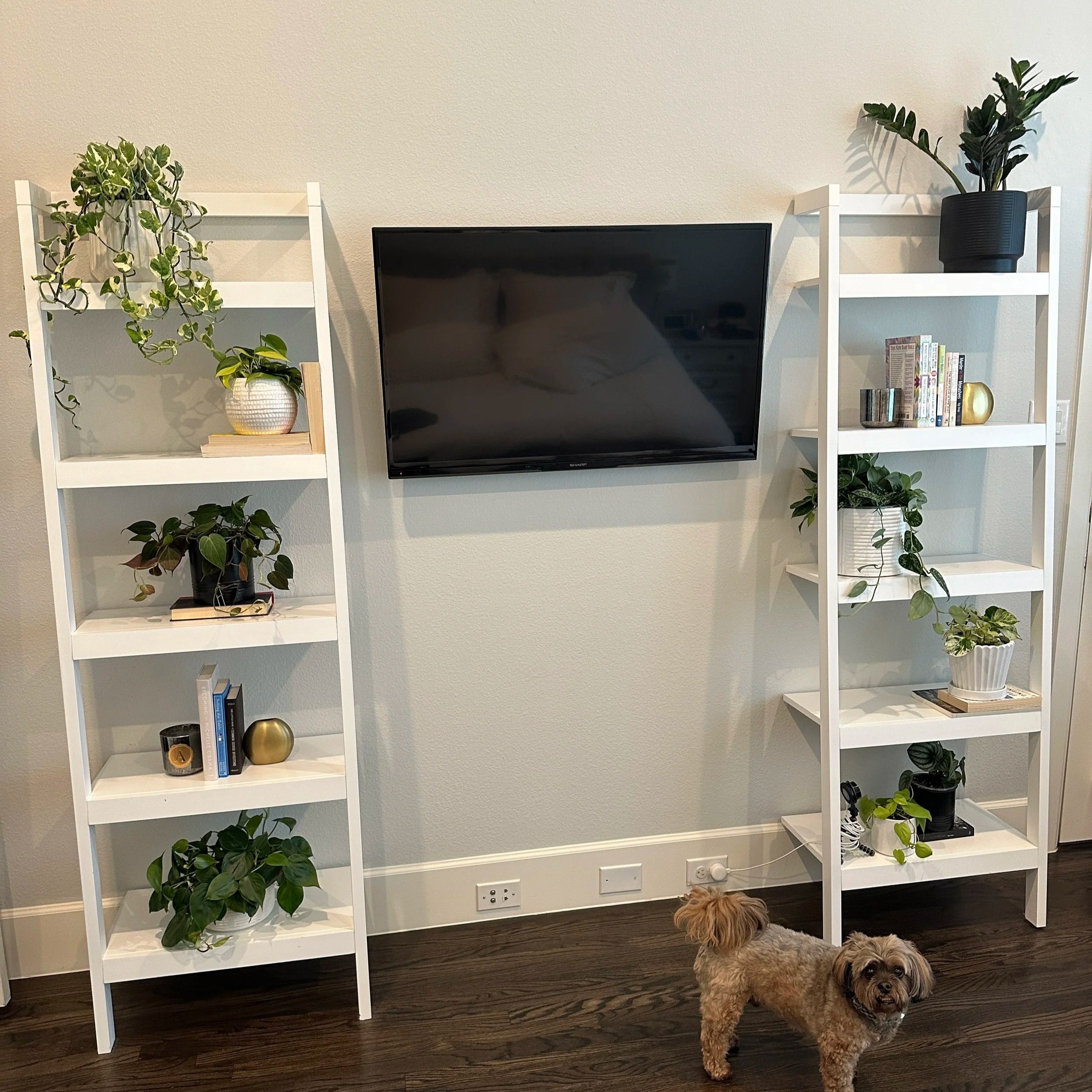 Minimal plant styling on white shelving with balanced greenery and neutral decor