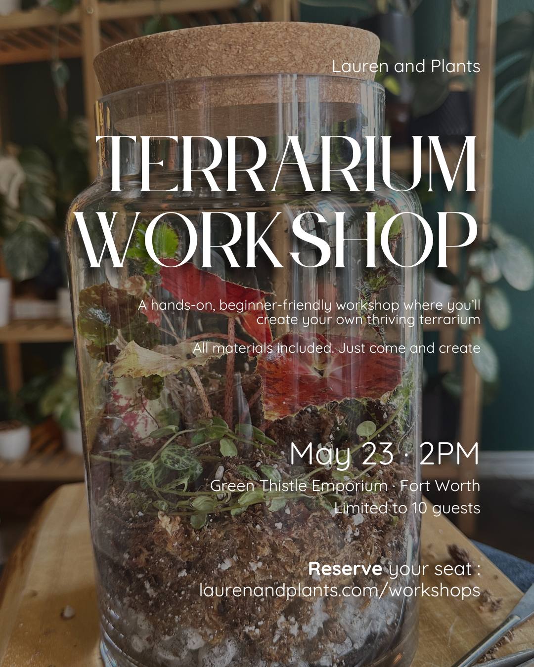 Terrarium workshop in Fort Worth Texas by Lauren and Plants featuring a glass jar terrarium with lush greenery and begonias