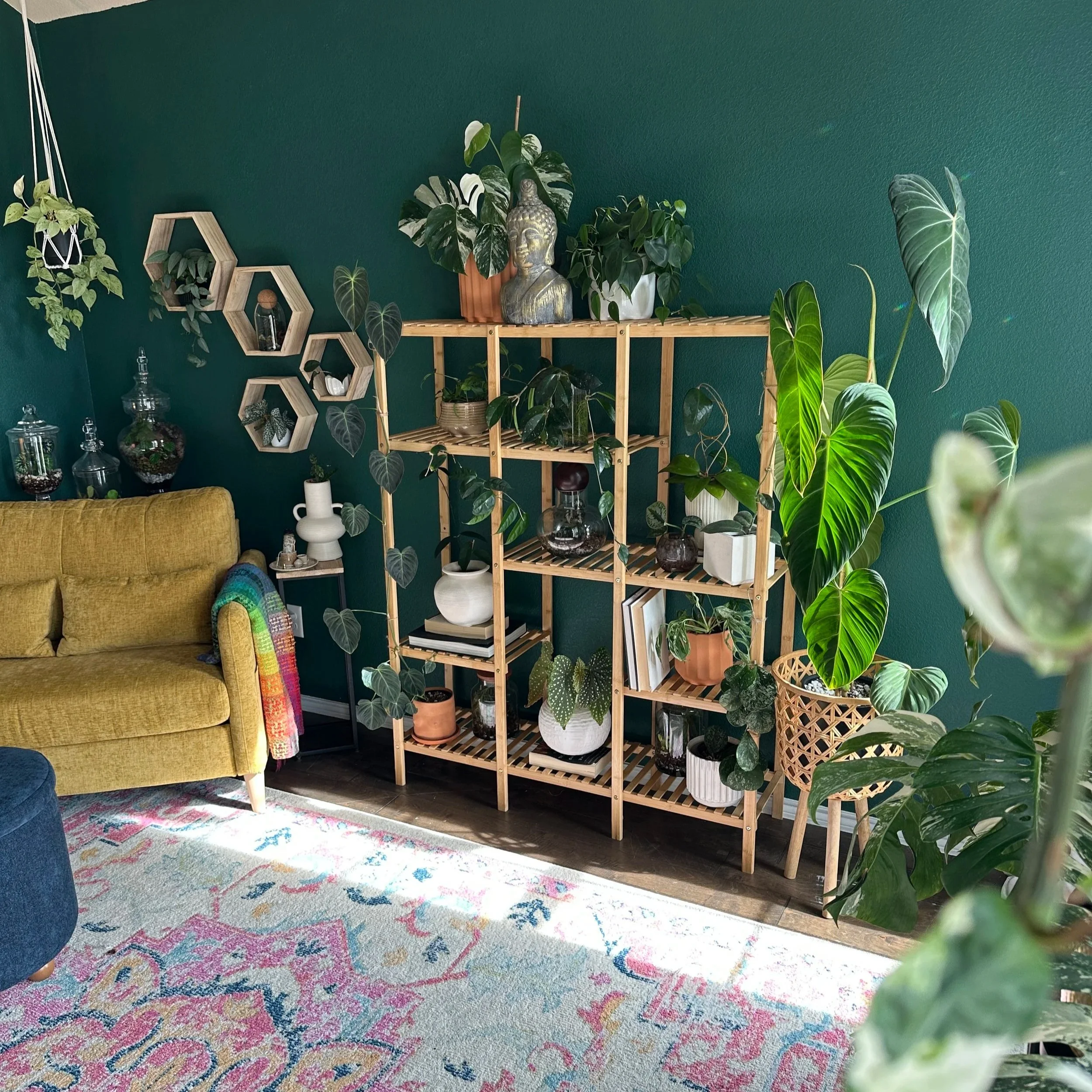Interior plant design in Fort Worth featuring a curated living room with healthy indoor plants, natural light, and intentional plant styling