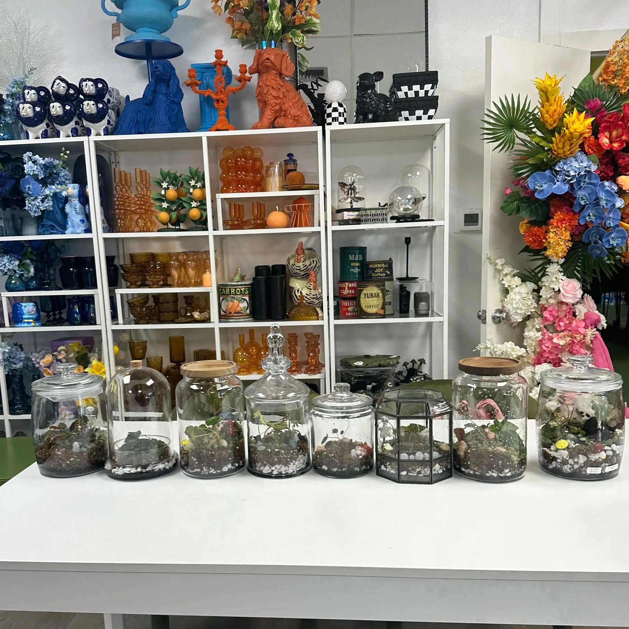 Finished terrariums created during a Lauren and Plants workshop, showcasing long-term growth and enclosed plant design