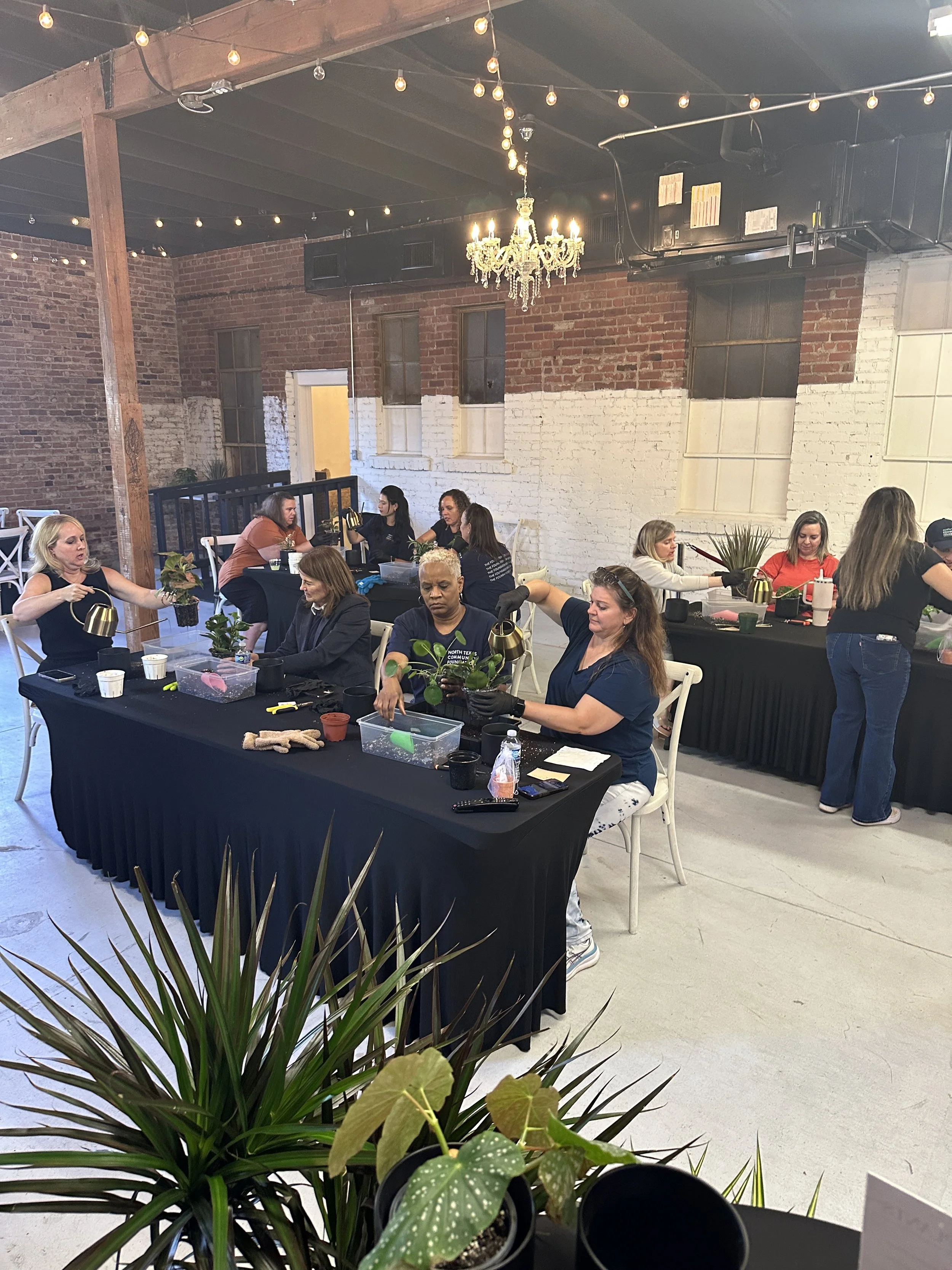 Repotting plant workshop in fort worth with Lauren and Plants