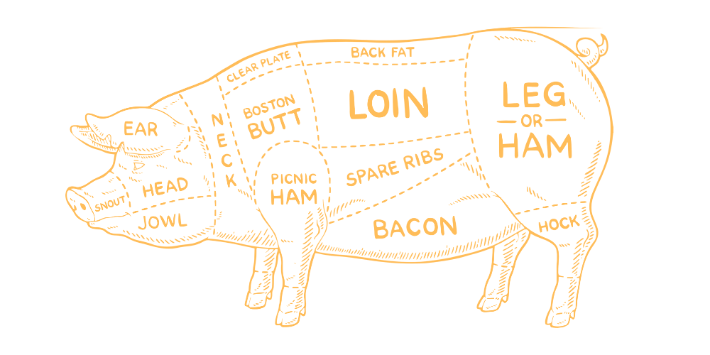 Illustration of a pig with divided sections indicating different cuts of pork, including ear, head, jowl, picnic ham, Boston butt, neck, back fat, loin, spare ribs, bacon, leg or ham, and ham hock.