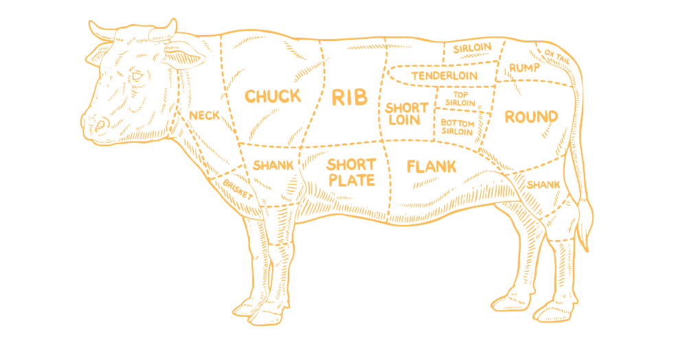Diagram of a cow with labeled sections showing different cuts of beef, including neck, chuck, rib, short plate, short loin, flank, round, and shank.