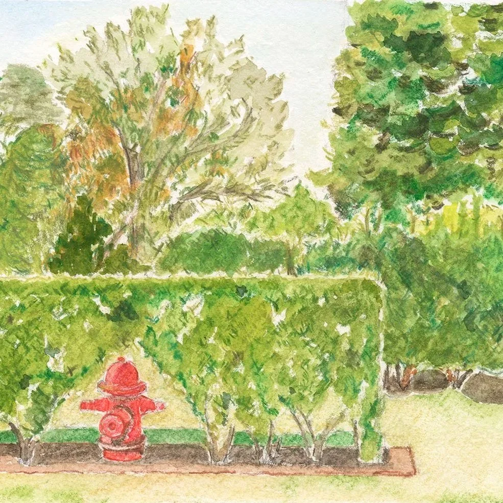 hedge talk