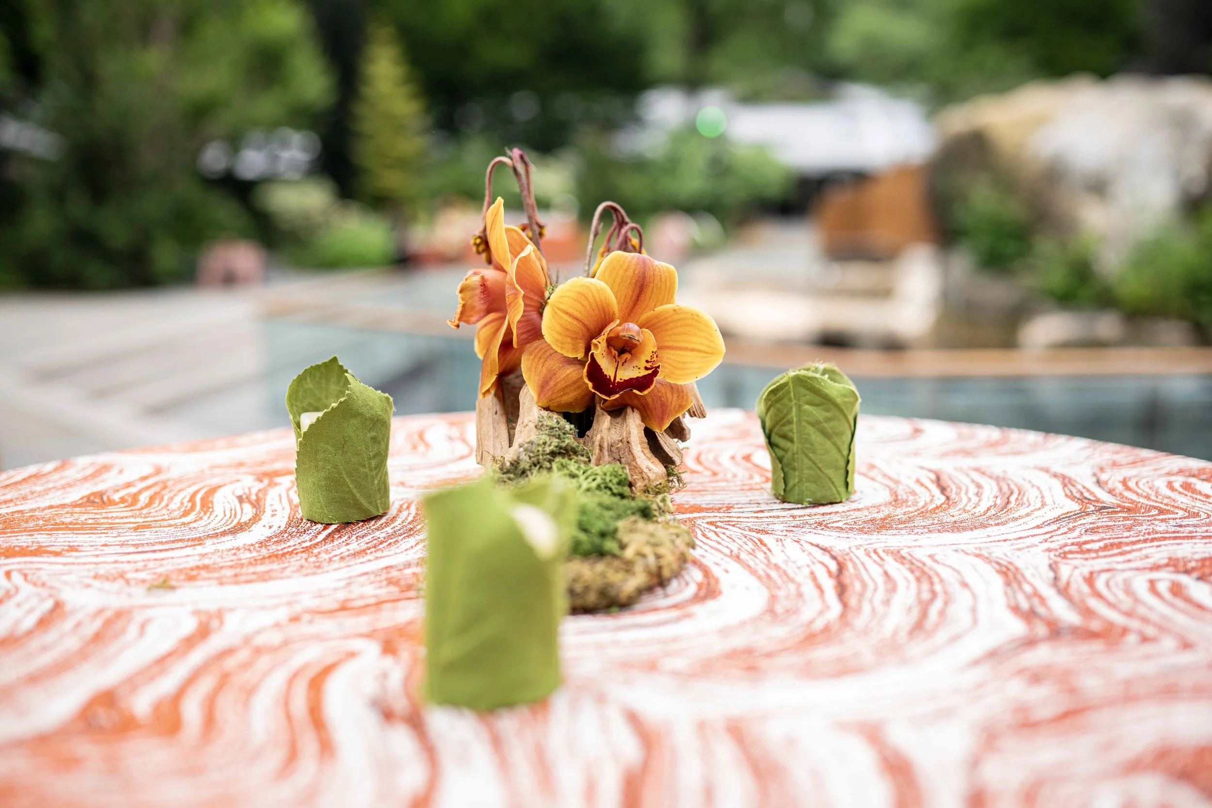 Terria Clay_0021_WCS Gala 2025_CPZ_20250612.jpg