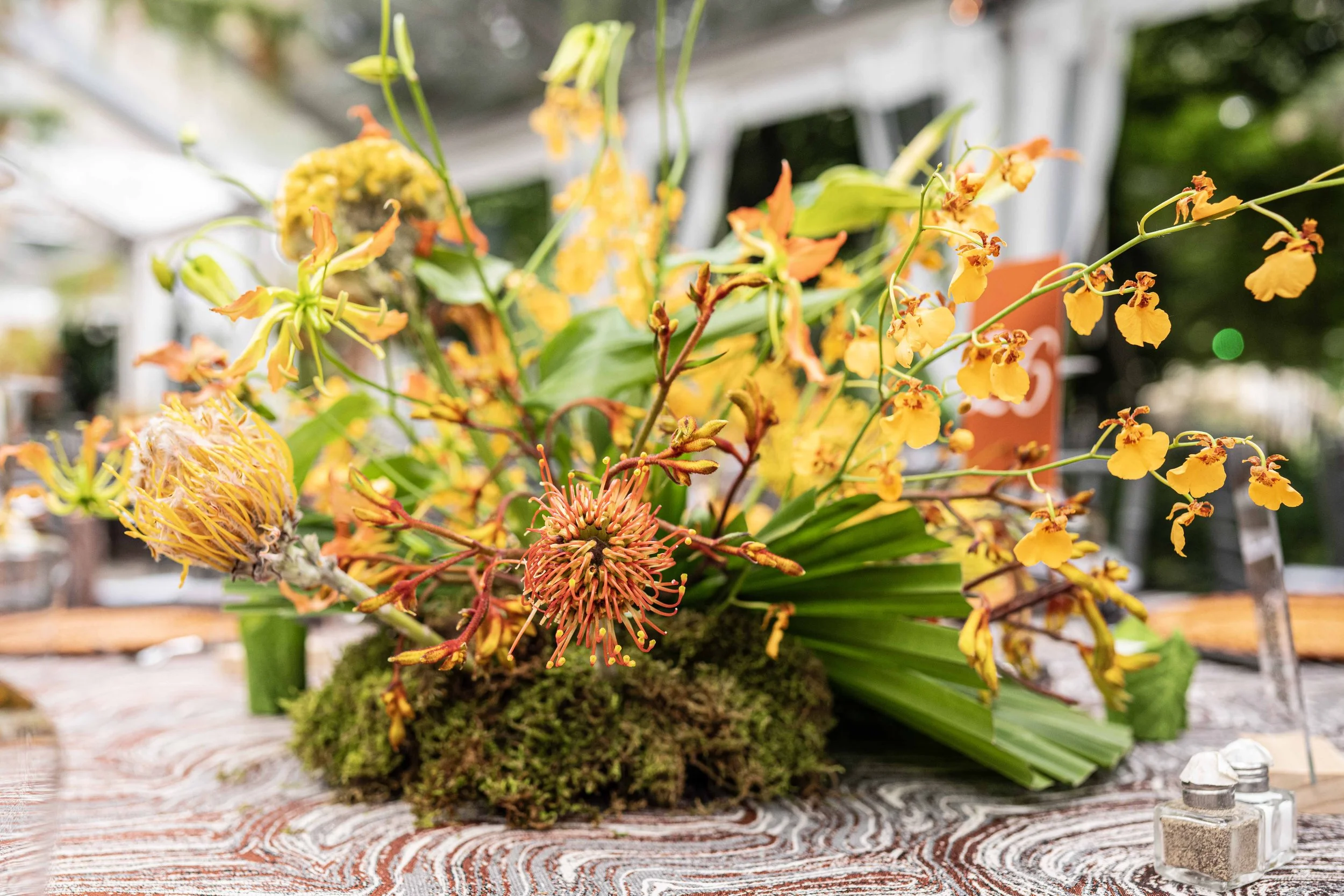 Terria Clay_0017_WCS Gala 2025_CPZ_20250612.jpg