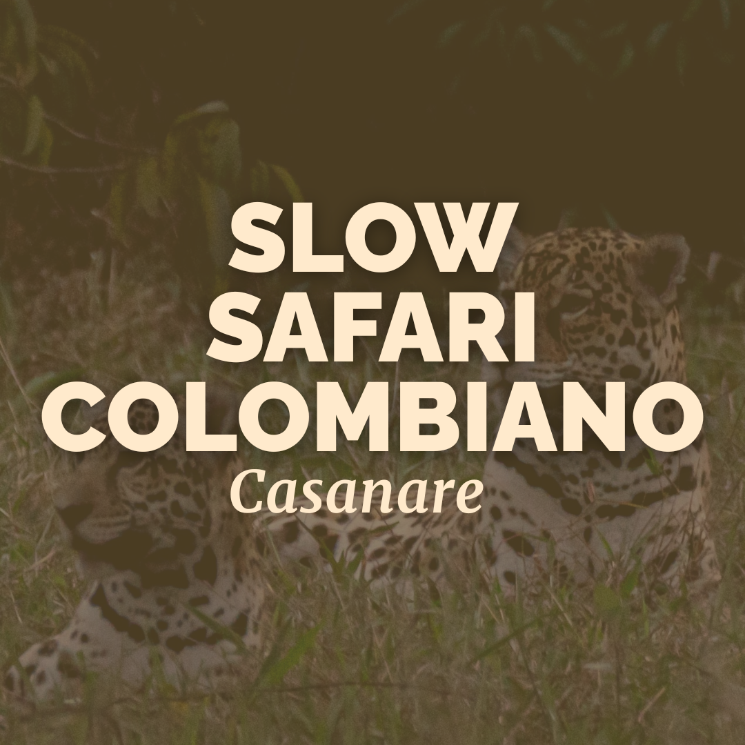 Slow Safari Colombiano