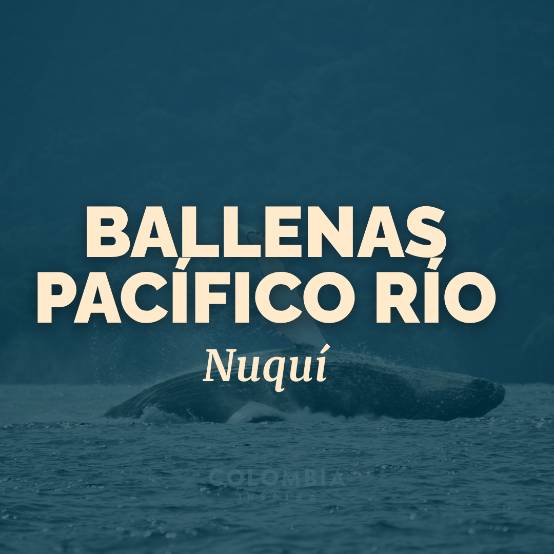 Pacífico Río, La danza de las Yubartas 