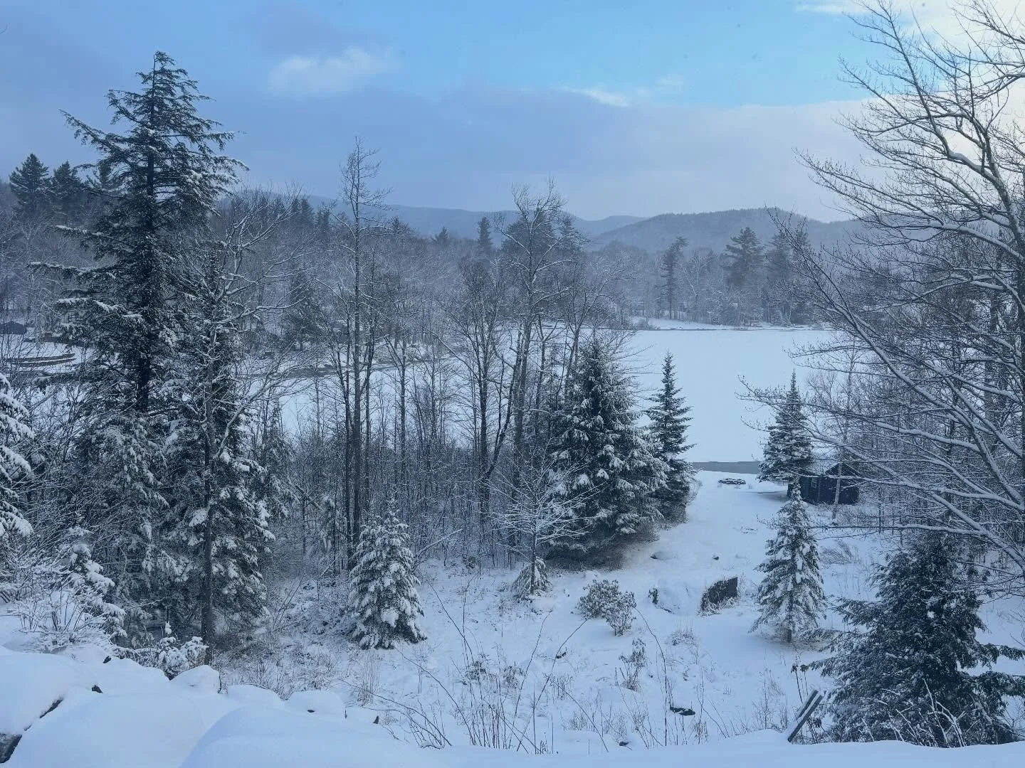 Snow today! Is it winter or spring? ❄️ ❄️