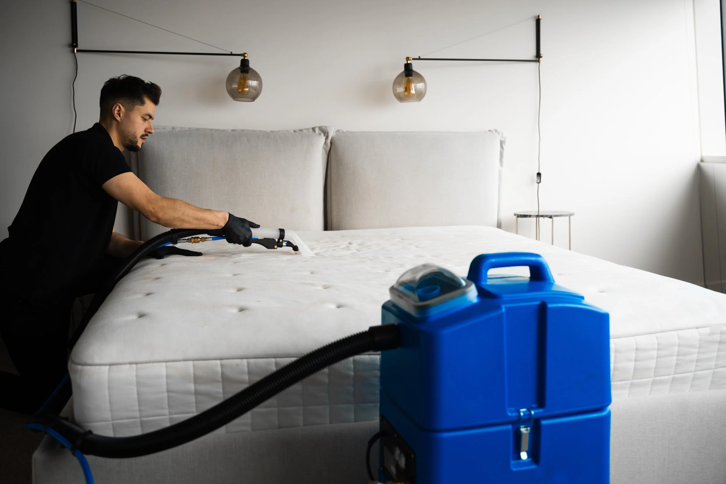 dry-cleaning-sofa-pillows-with-extractor-cleaner-is-washing-off-couch-from-stains-dust-dirt-using-extractor-home.jpg
