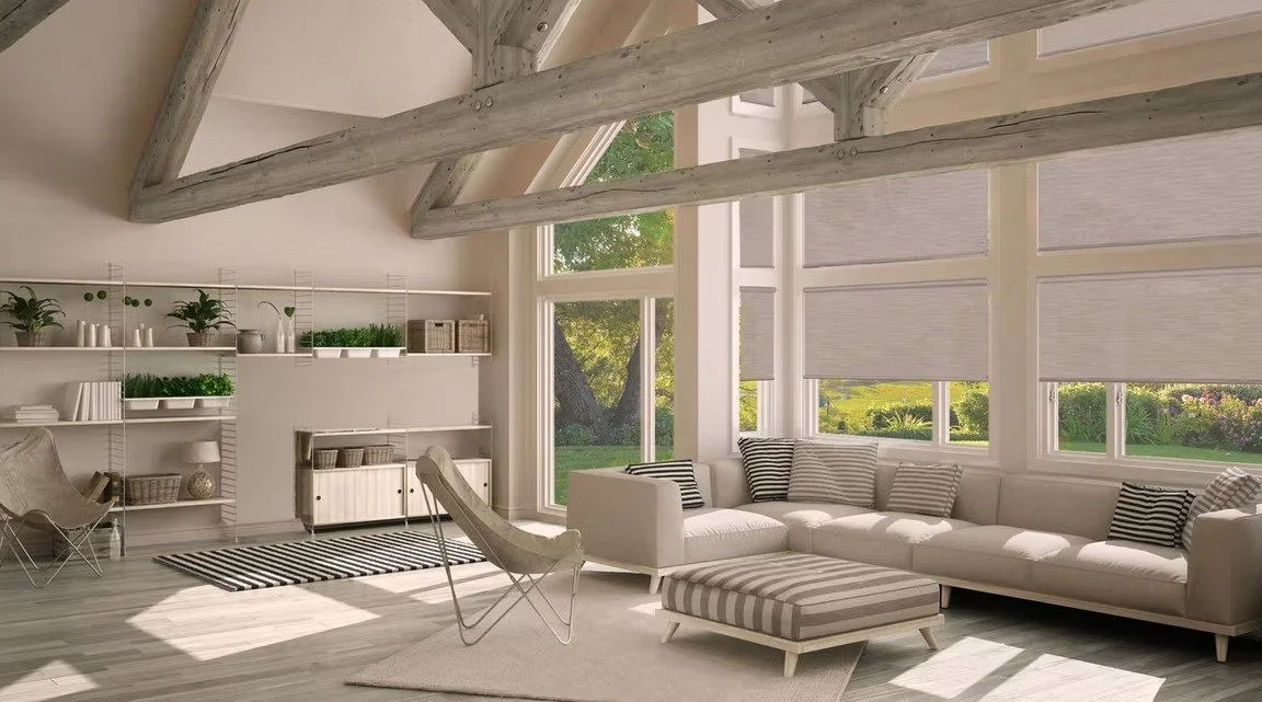 Roller Shade Daylight.jpg