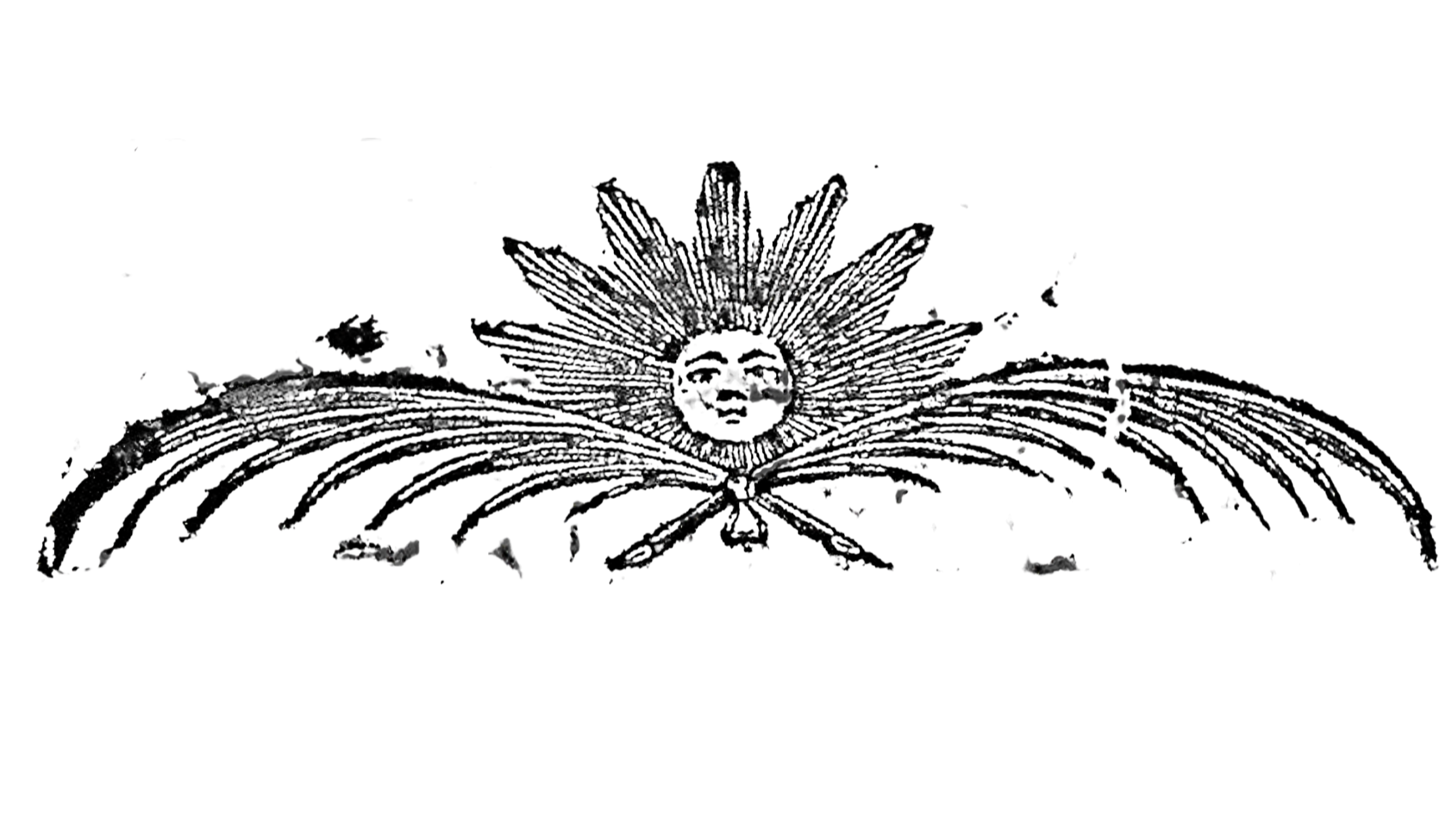 Untitled%252Bdesign%252B%25252816%252529.png