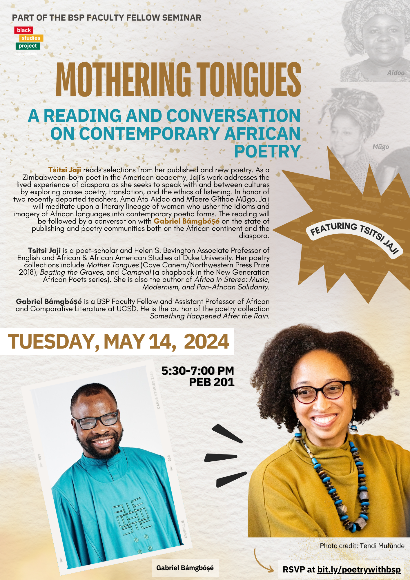 bsp-faculty-fellow-seminar-flier-bamgbose-may-2024.png