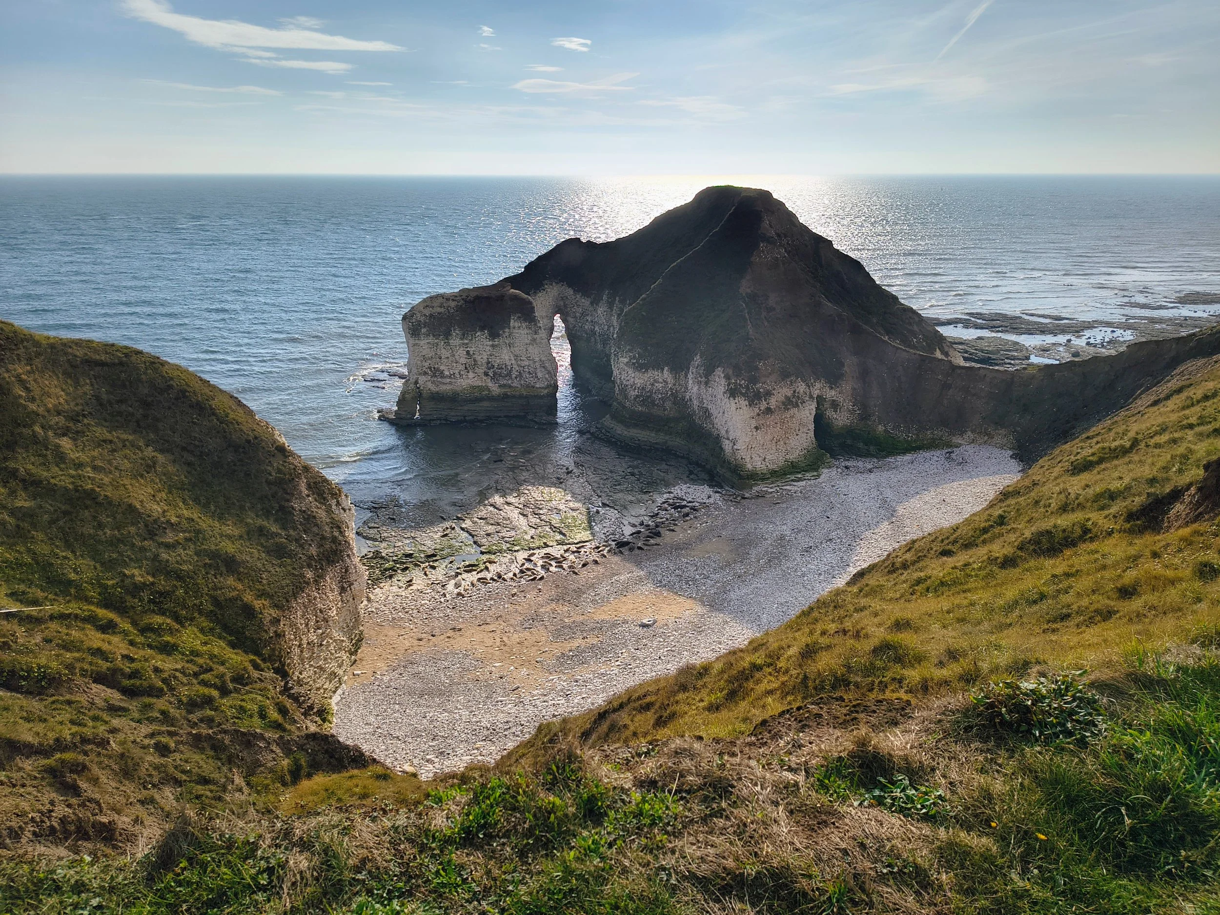 Drinking Dinosaur, Flamborough.jpg