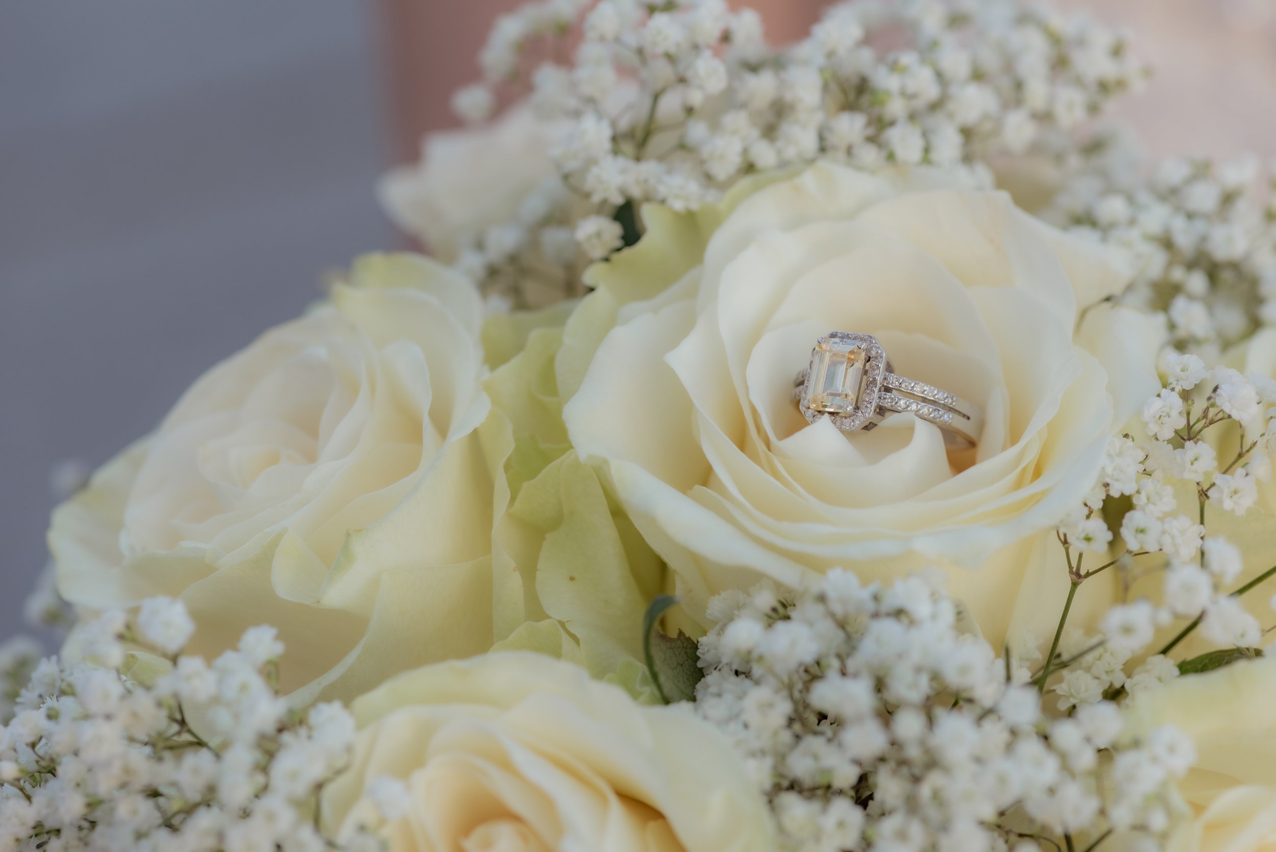 Hamed & Shamisa (24 of 53).jpg