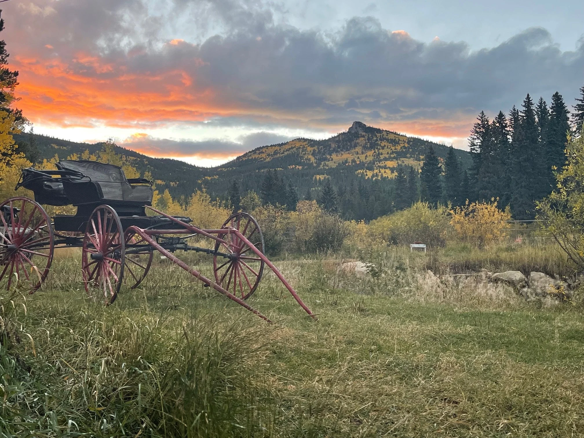 Old-fashioned black and red horse-drawn carriage resting in a grassy field with trees, mountains, and a colorful sunset sky in the background.