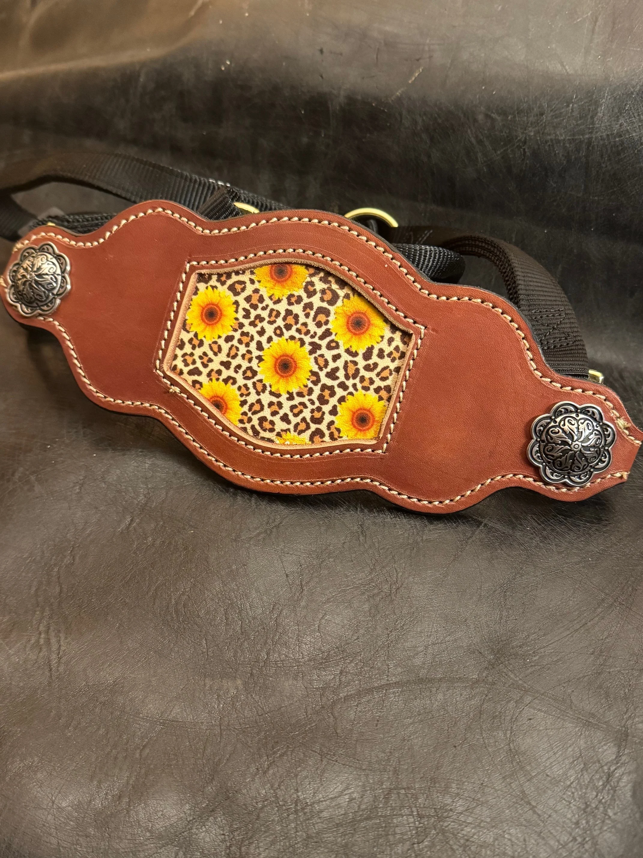 Custom Veg Tan Bronc Halter with Designer Leather Inlay