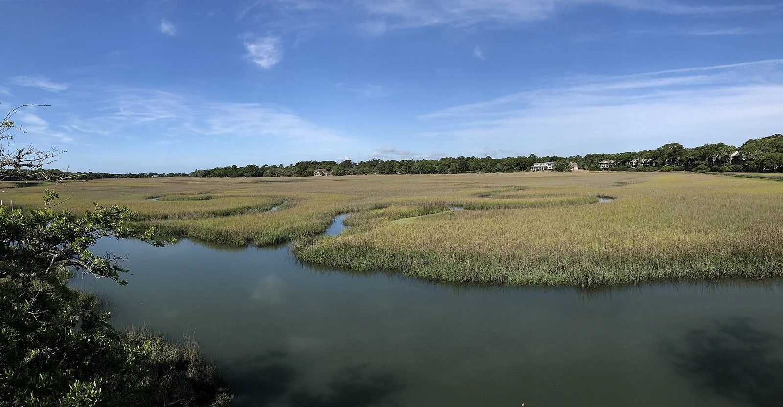 Tidal marsh on Seabrook Island, South Carolina, with homes along the tree line