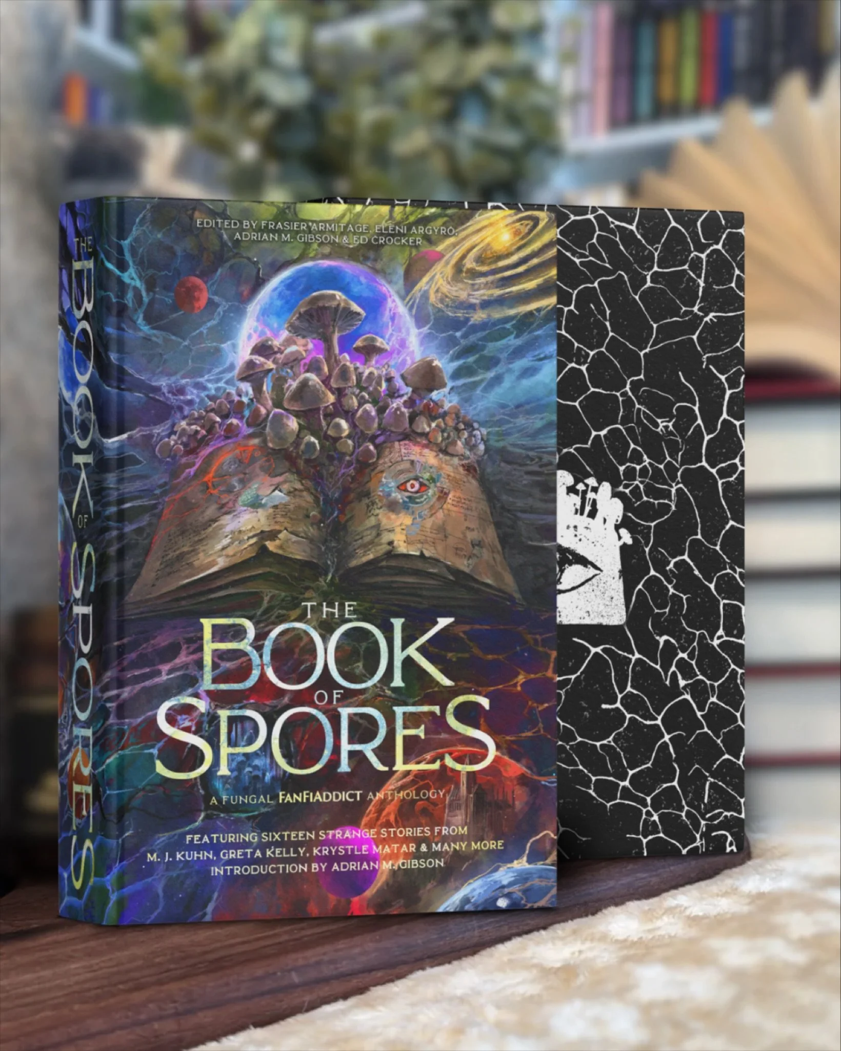 With a couple days left in the kickstarter, it&rsquo;s the perfect time to grab your copy before they&rsquo;re gone! 

You can still check out and support this project through the 🔗 on my page.

More information about our project:
This anthology is 