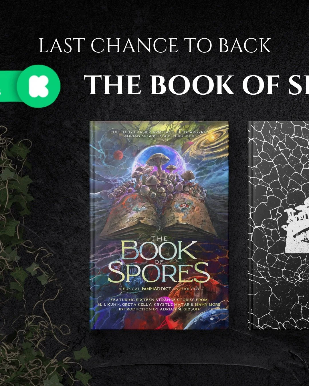 LAST CHANCE TO BACK THE BOOK OF SPORES!

We are coming into the last 24 hours of our kickstarter campaign and we are amazed at the response we have had so far! 

You can still check out and support this project through the 🔗 on my page!

More inform