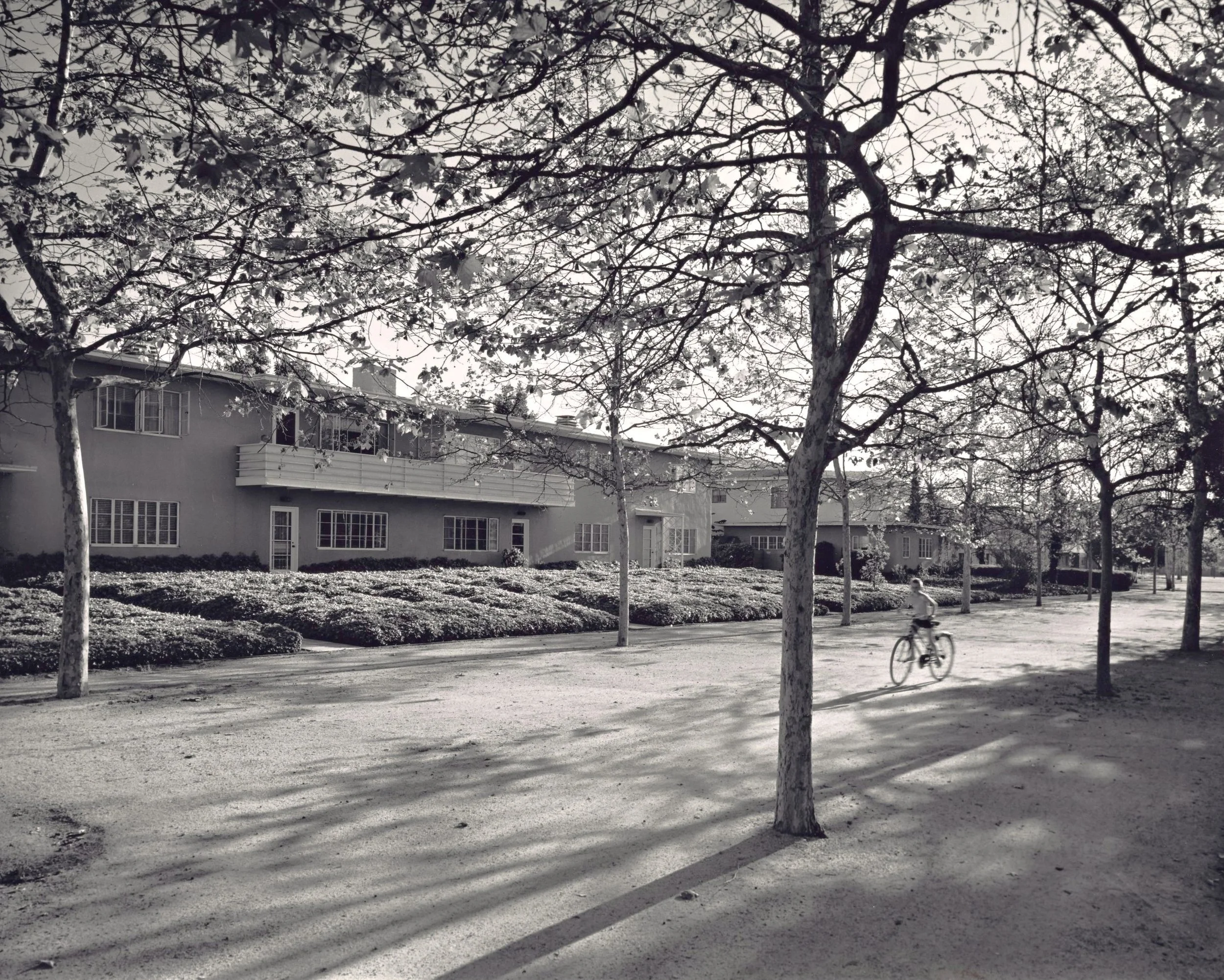 Cars to the Curb: The Radical Vision of Baldwin Hills Village