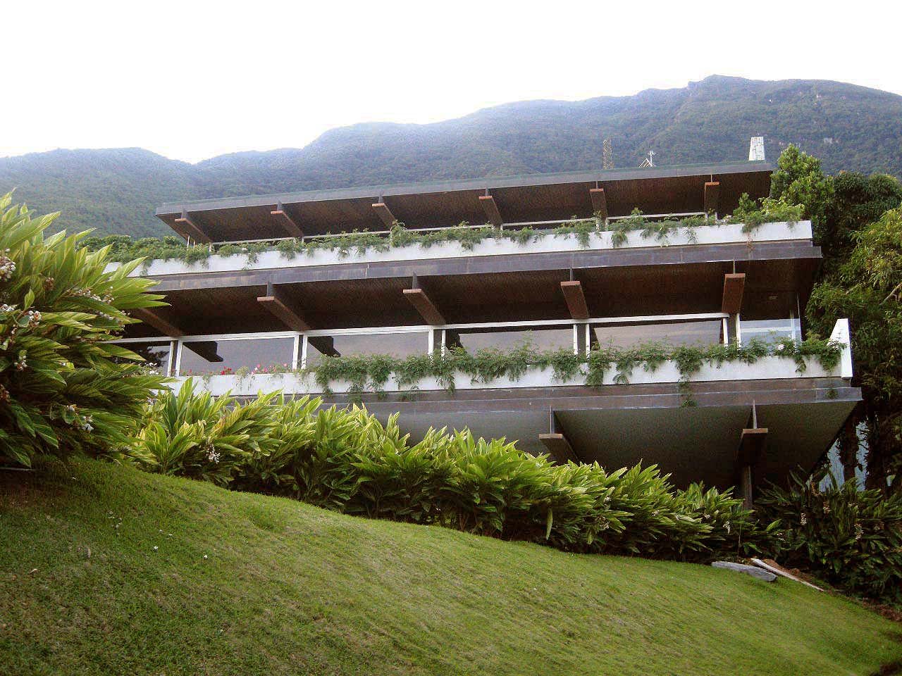 The Avant-Garde Shift Towards the Sun