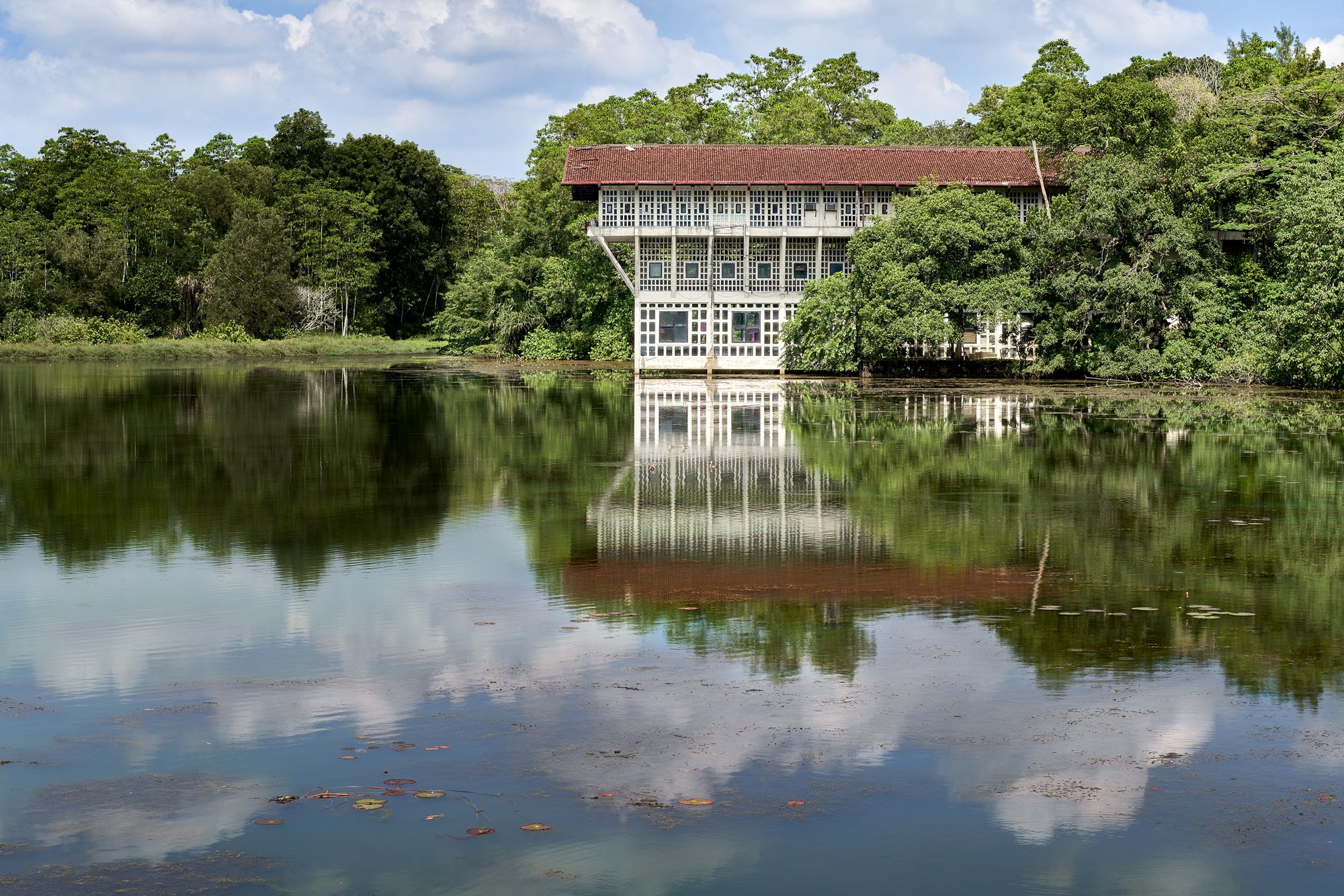 Translating Modernism: Climate, Material and Cultural Mediation