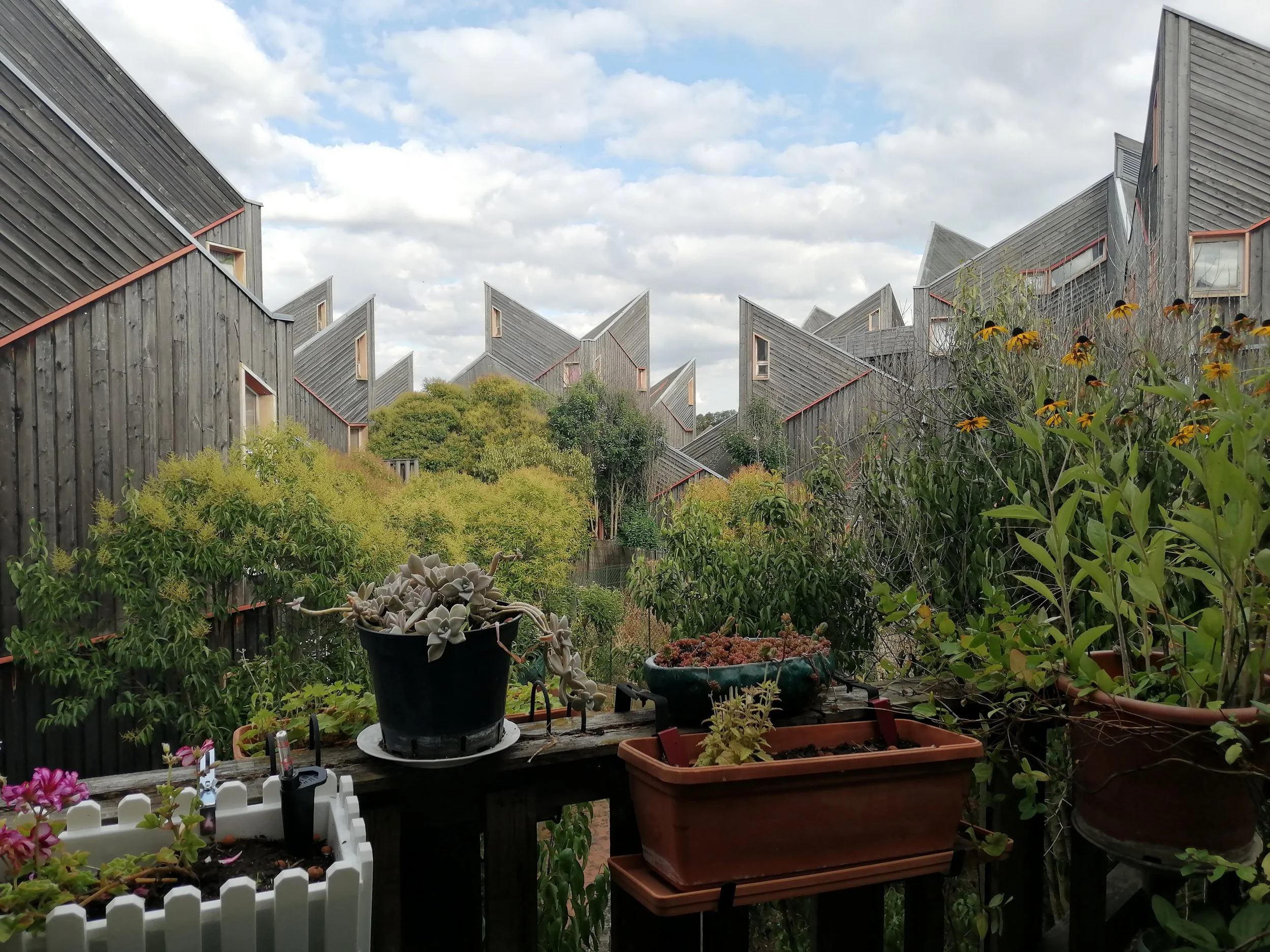 Mass Housing Adaptations and Appropriations