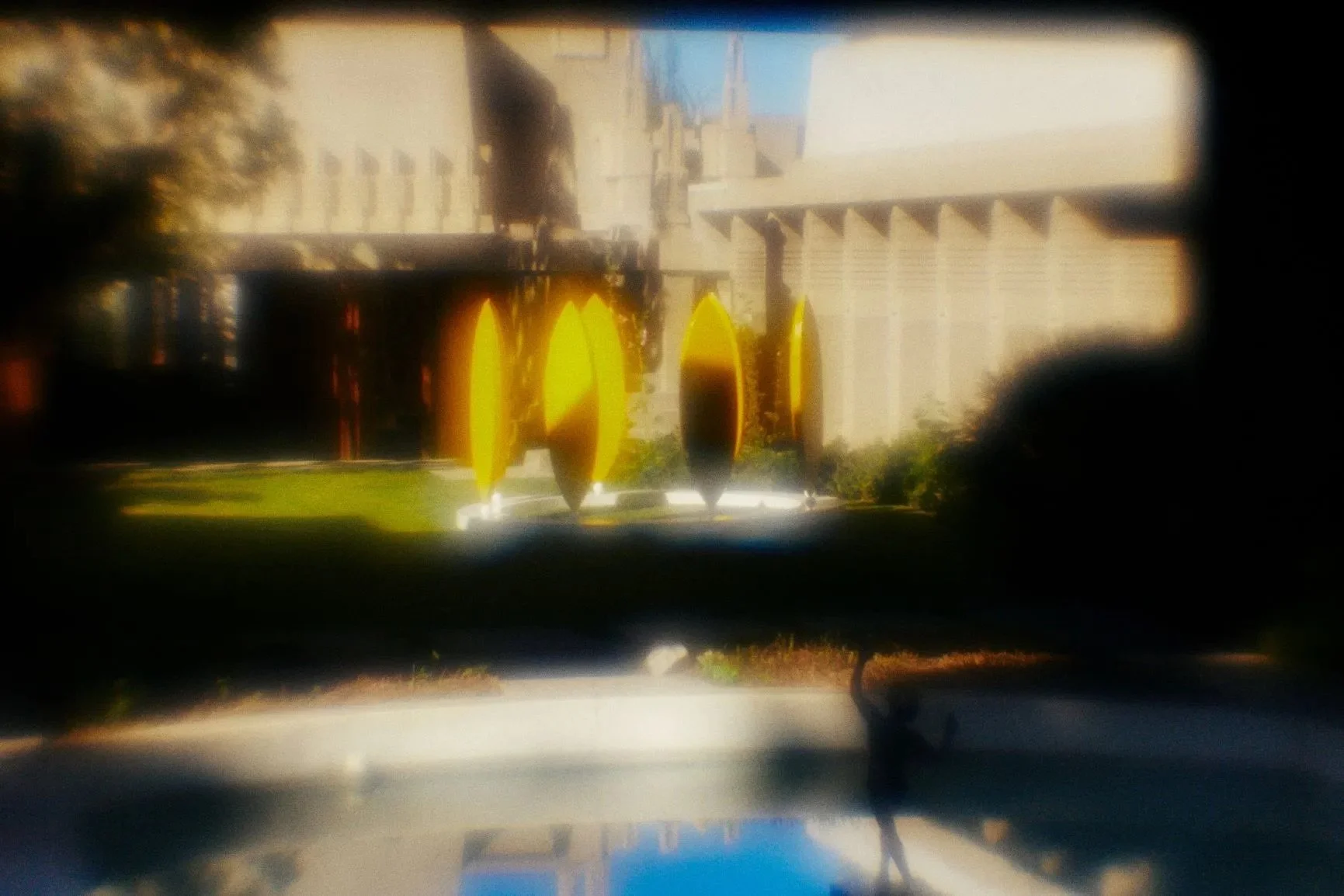 Ryan Preciado: Diary of a Fly 