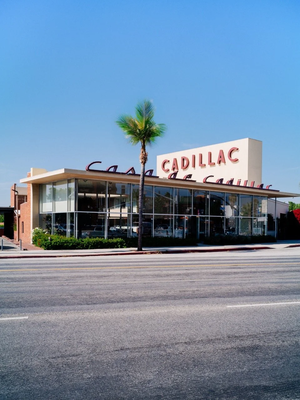 cadillac-2 Large.jpeg