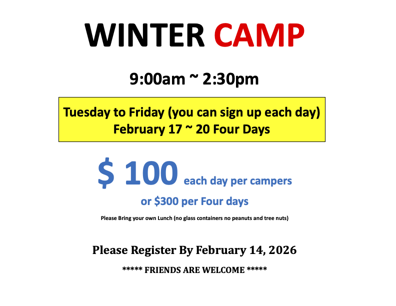 Kids Winter Camp